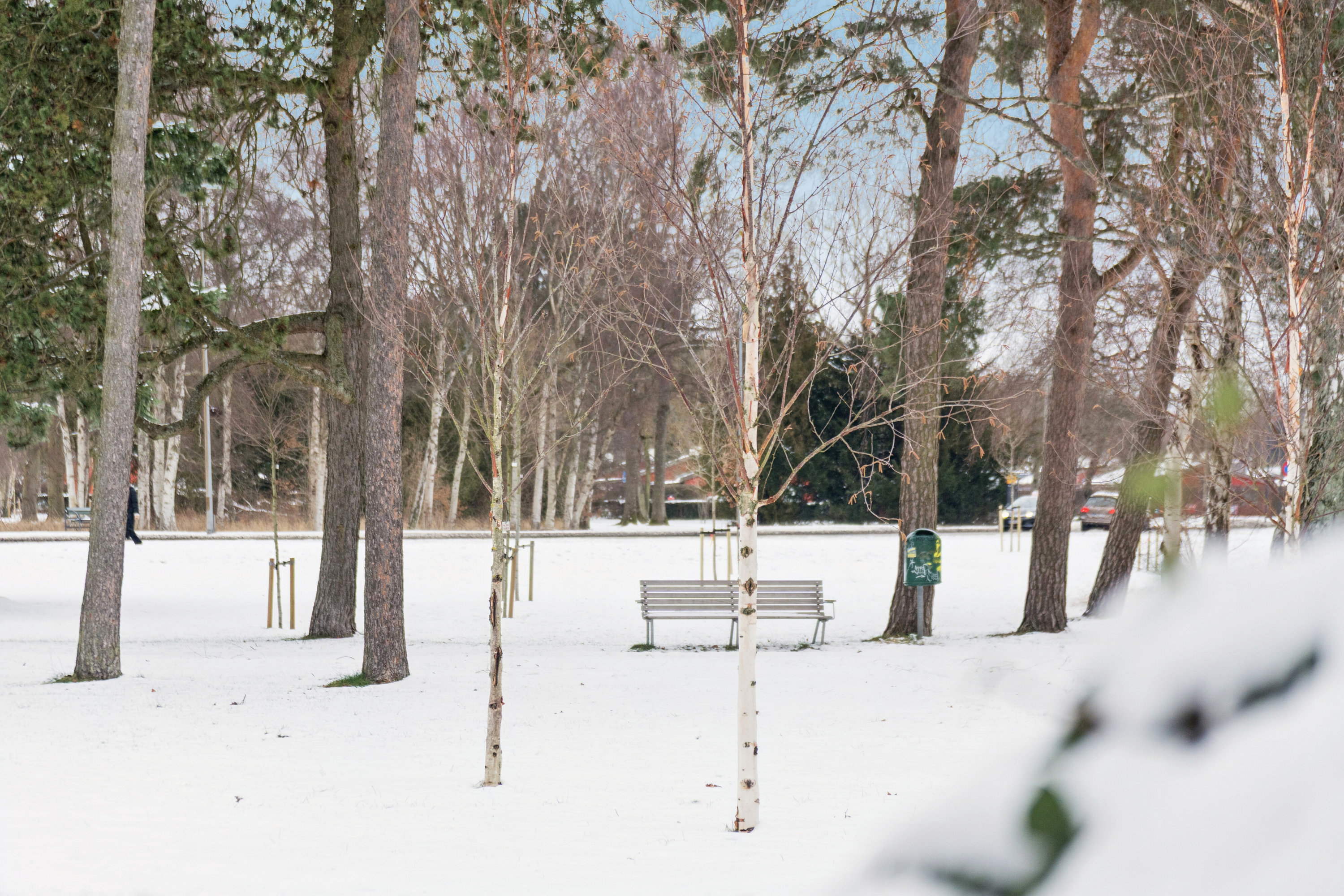 Fremhævet have billede i fuldskærmstilstand. Billede af Plantagevej 21, 2610 Rødovre
