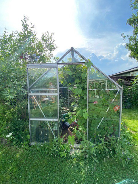 Fremhævet  billede i fuldskærmstilstand. Billede af Solsikkestien 16, 2610 Rødovre