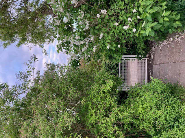 Fremhævet  billede i fuldskærmstilstand. Billede af Solsikkestien 16, 2610 Rødovre