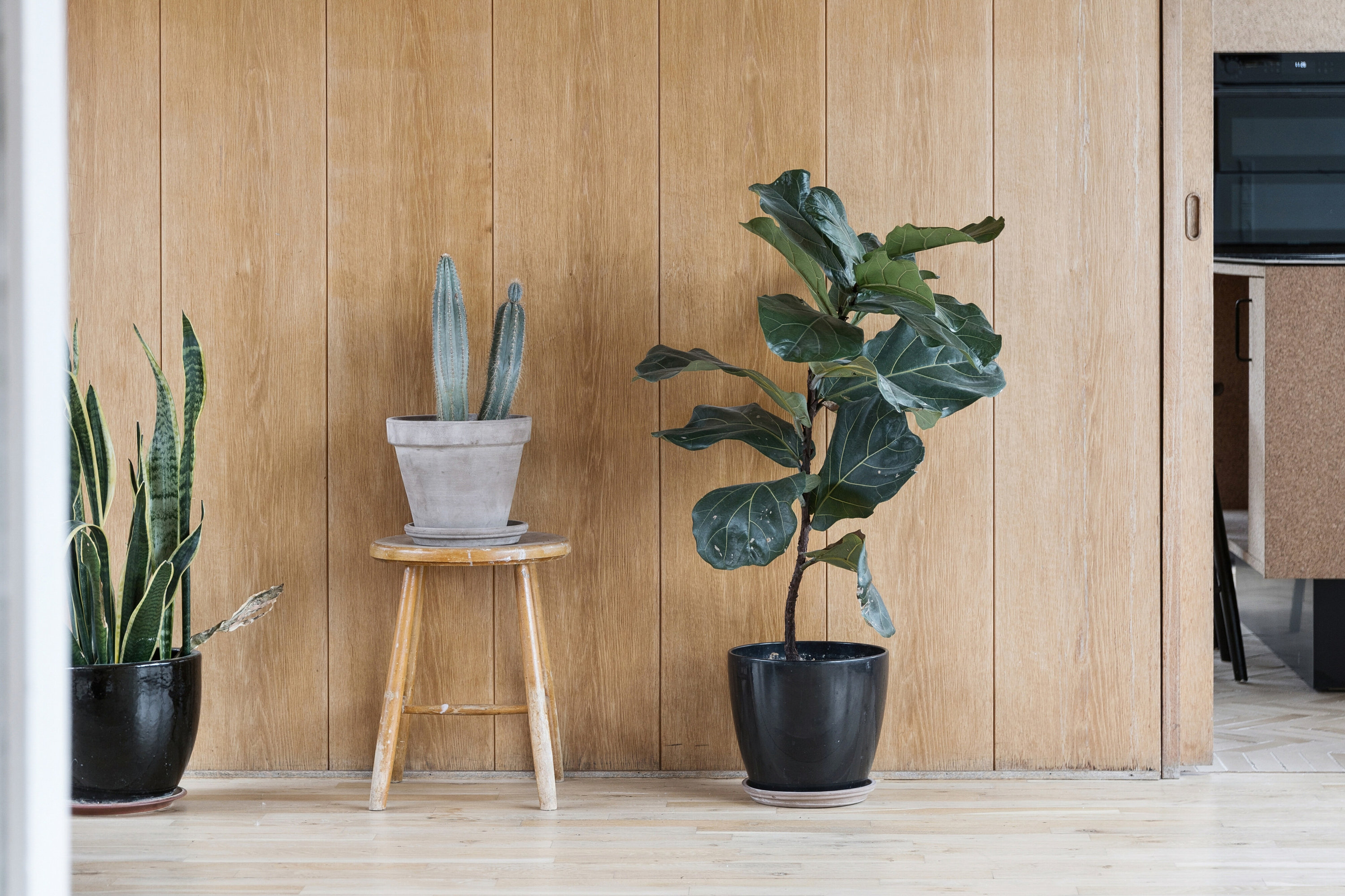 Fremhævet indendørs billede i fuldskærmstilstand. Billede af Dalsvinget 18, Skåde, 8270 Højbjerg