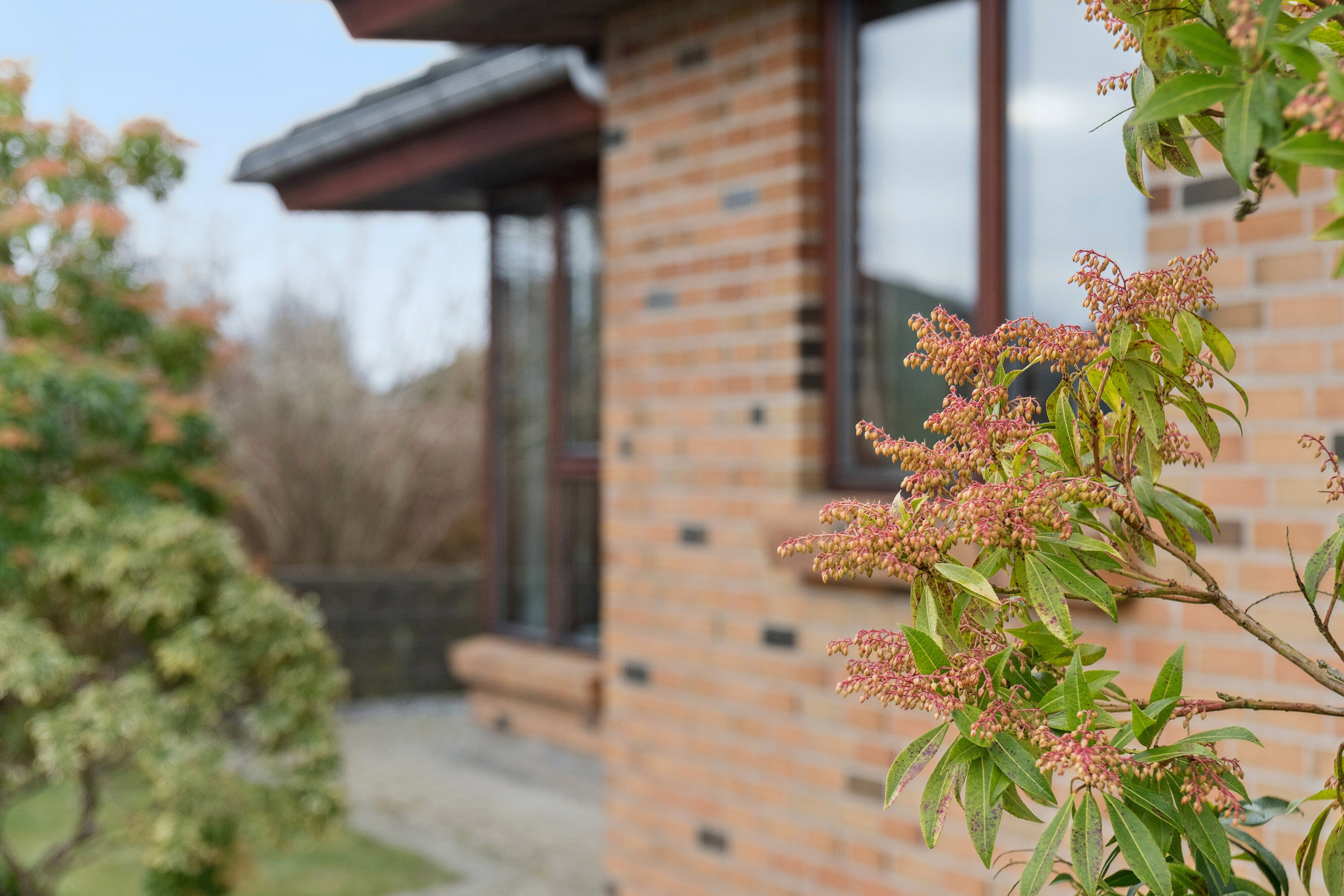 Fremhævet udendørs billede i fuldskærmstilstand. Billede af Rosenhaven 1, 8620 Kjellerup