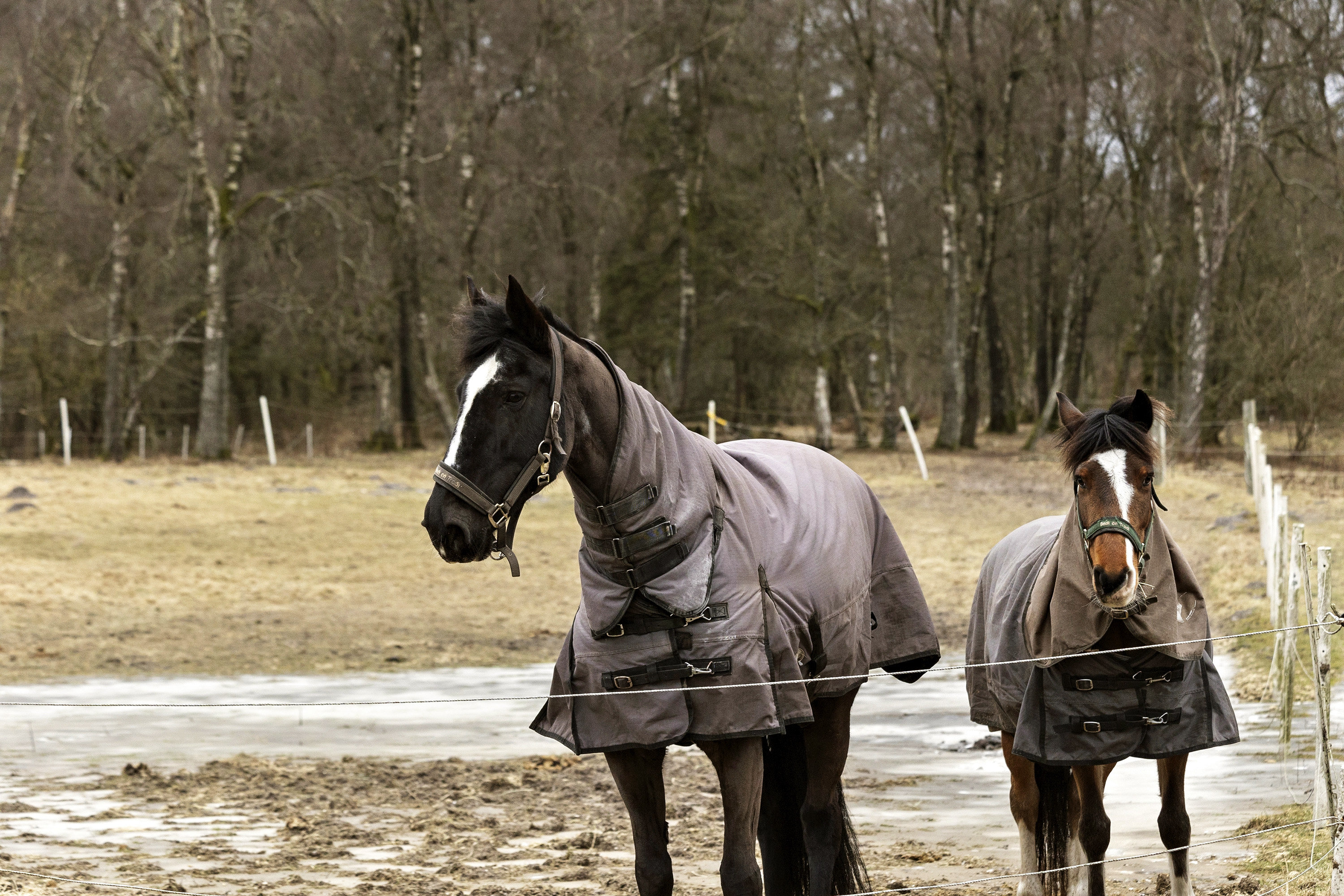 Fremhævet ejendommen billede i fuldskærmstilstand. Billede af Lunderskovvej 25, 6622 Bække