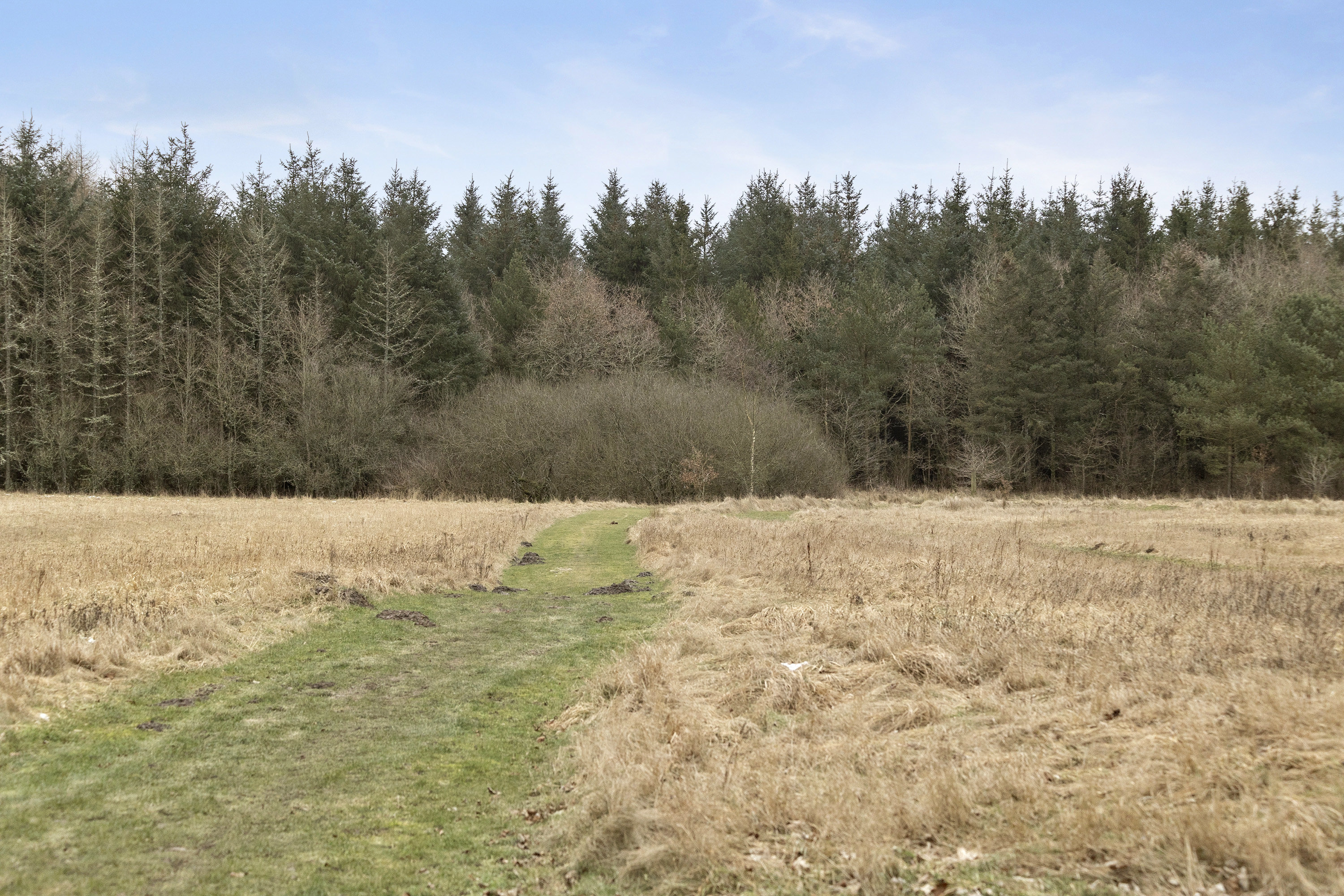 Fremhævet ejendommen billede i fuldskærmstilstand. Billede af Lunderskovvej 25, 6622 Bække