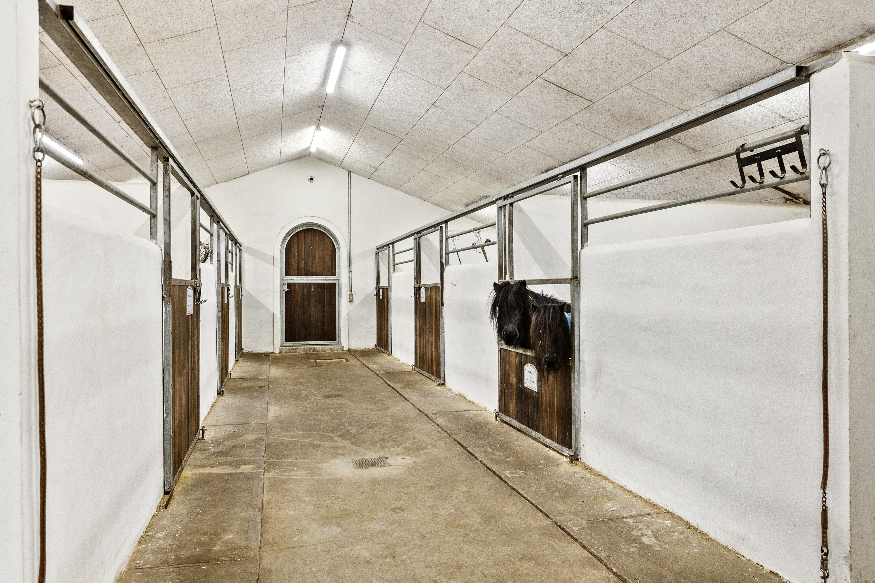 Fremhævet hestestald billede i fuldskærmstilstand. Billede af Lunderskovvej 25, 6622 Bække