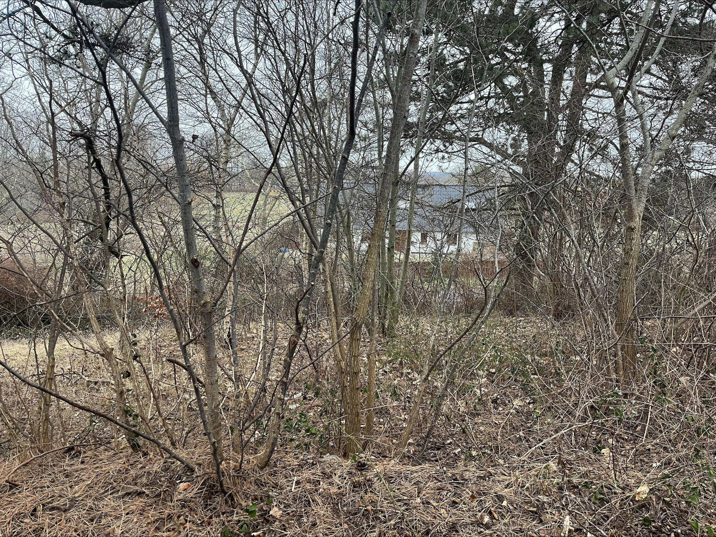 Fremhævet  billede i fuldskærmstilstand. Billede af Stårupvej 18B, 4573 Højby