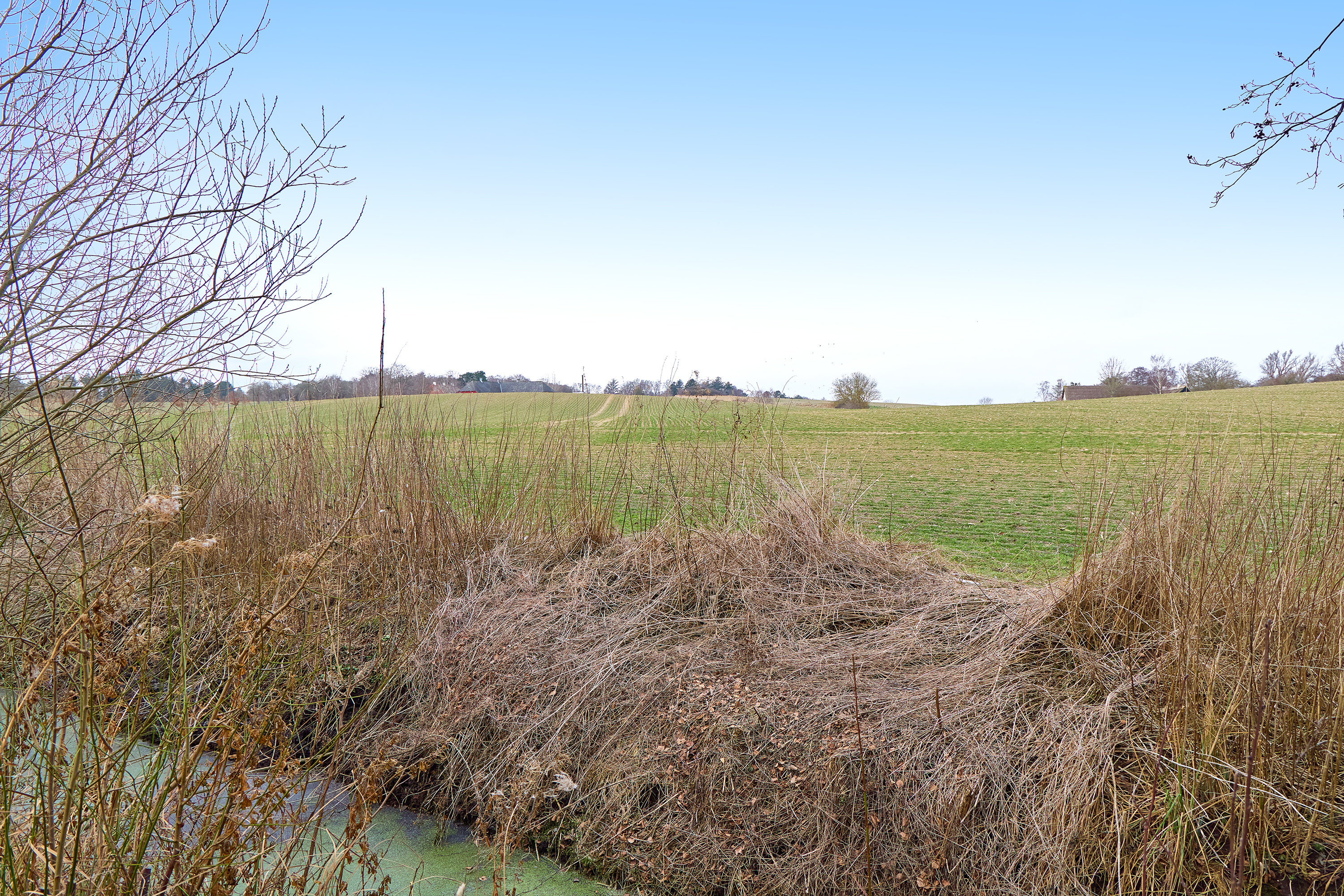 Fremhævet udsigt billede i fuldskærmstilstand. Billede af Bag Skovens Brugs 3, Skoven, 3630 Jægerspris