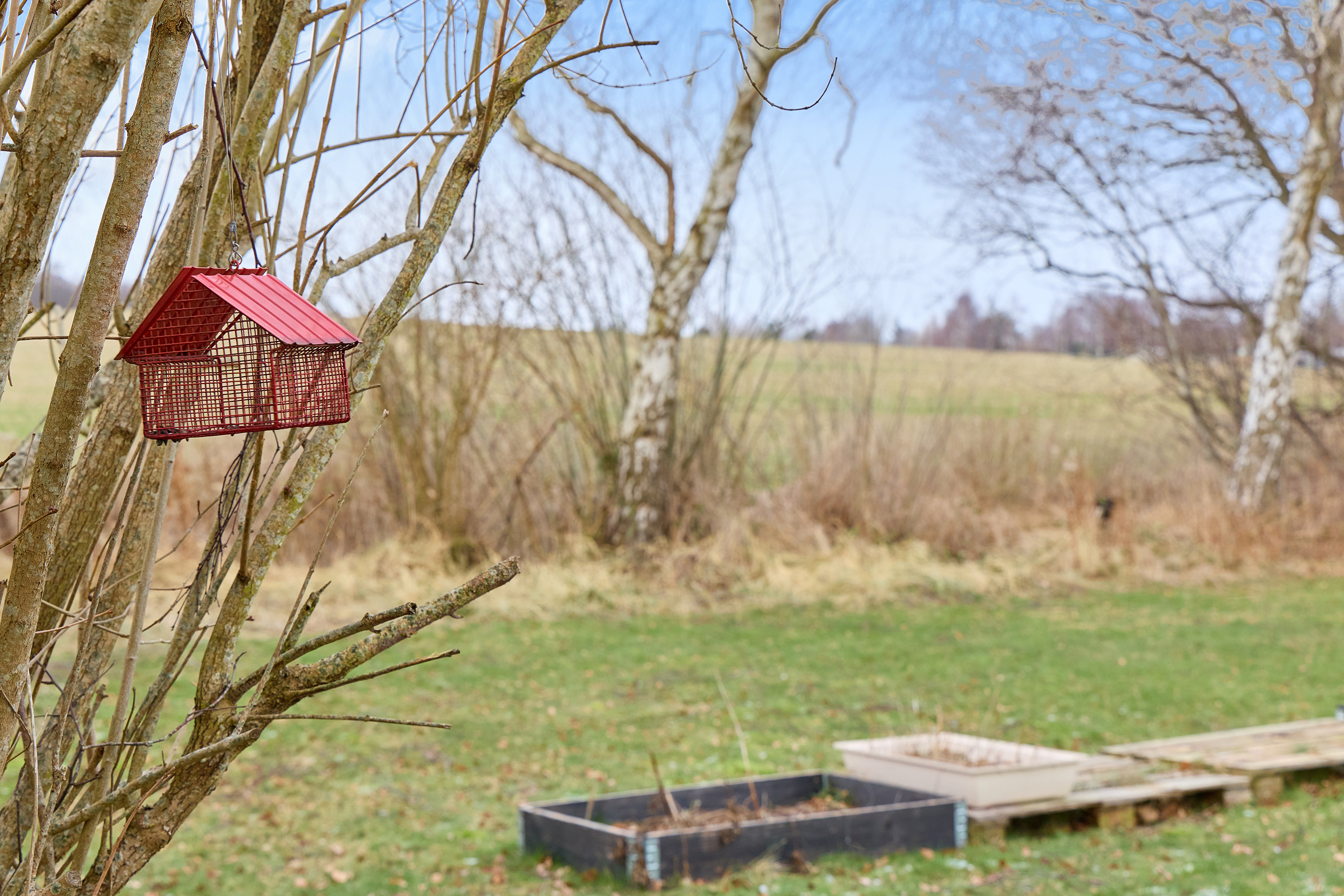 Fremhævet have billede i fuldskærmstilstand. Billede af Bag Skovens Brugs 3, Skoven, 3630 Jægerspris