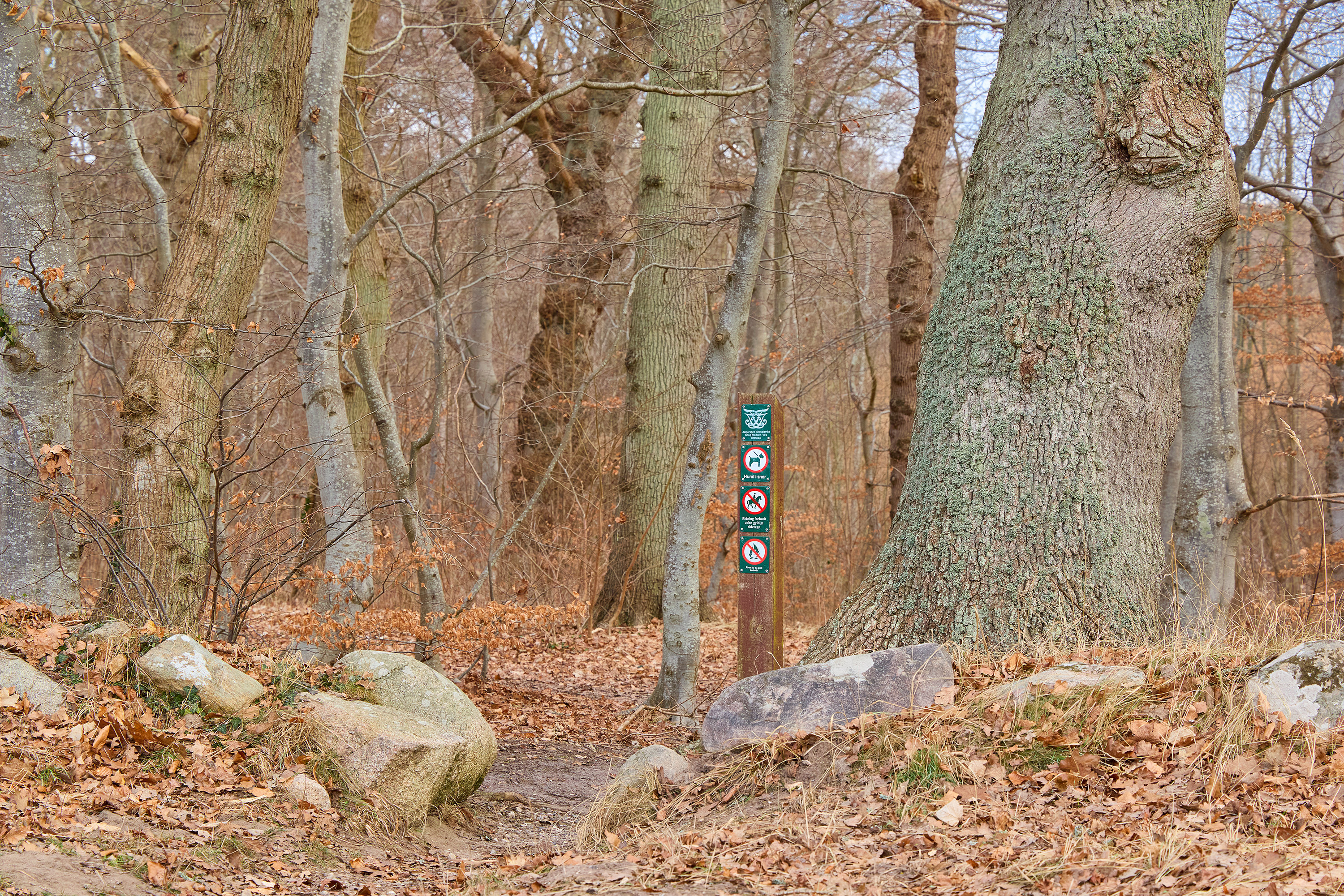Fremhævet område billede i fuldskærmstilstand. Billede af Bag Skovens Brugs 3, Skoven, 3630 Jægerspris