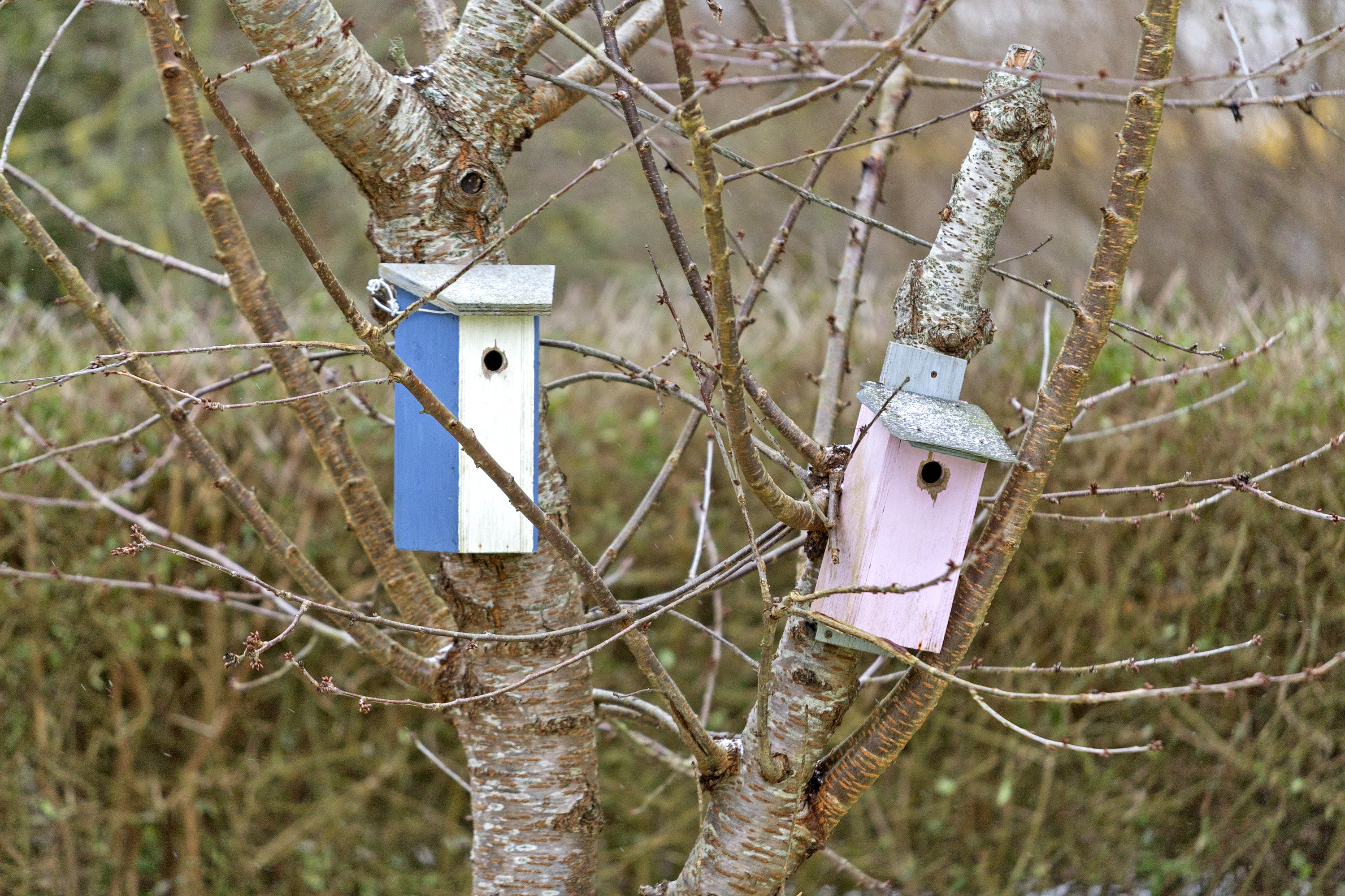 Fremhævet område billede i fuldskærmstilstand. Billede af Mågevej 34, Fuglevang, 8700 Horsens