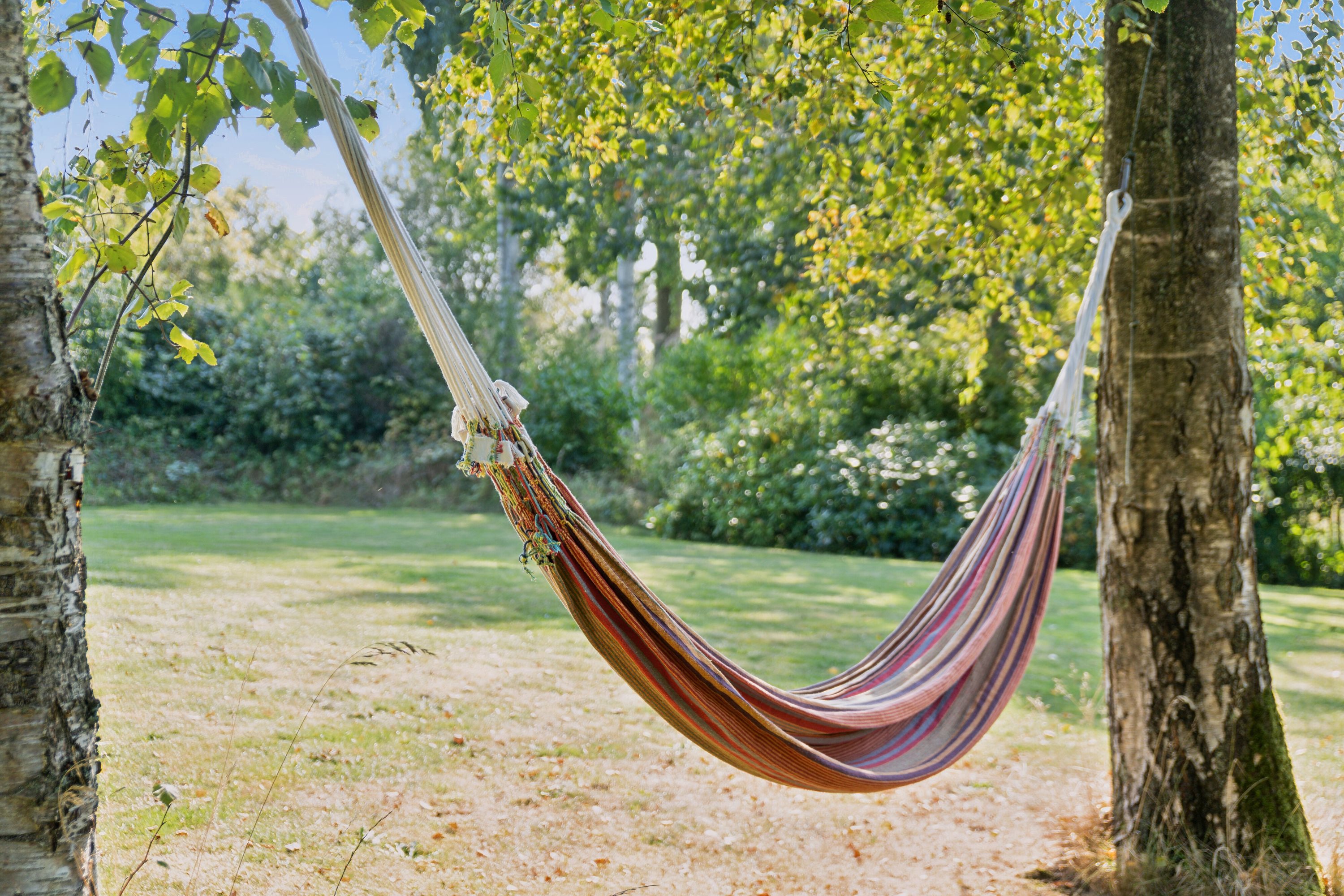 Fremhævet udendørs billede i fuldskærmstilstand. Billede af Nøddebakken 1B, Veddinge Bk, 4540 Fårevejle