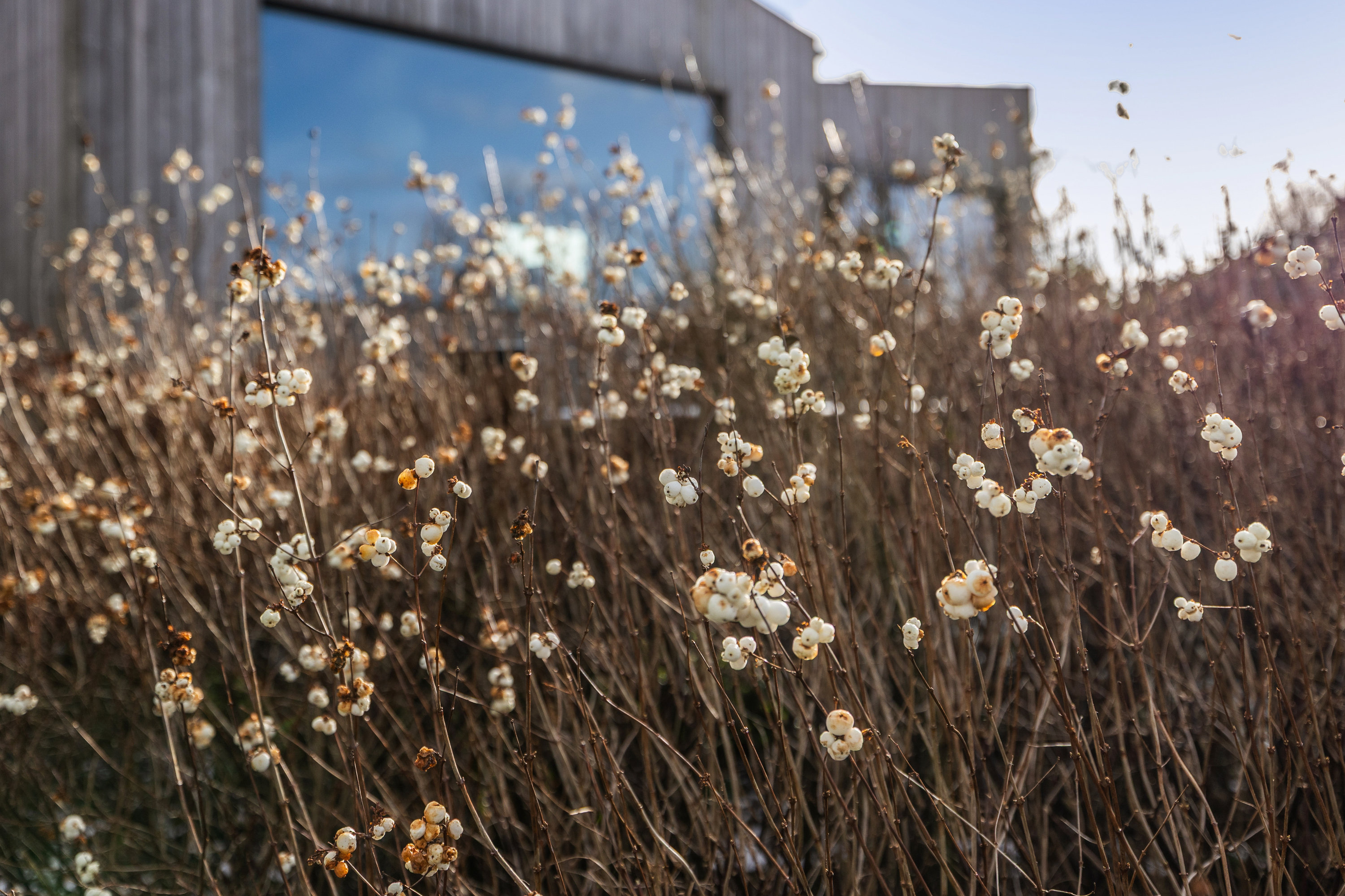 Fremhævet have billede i fuldskærmstilstand. Billede af Mossøbrå 11, Vrold, 8660 Skanderborg