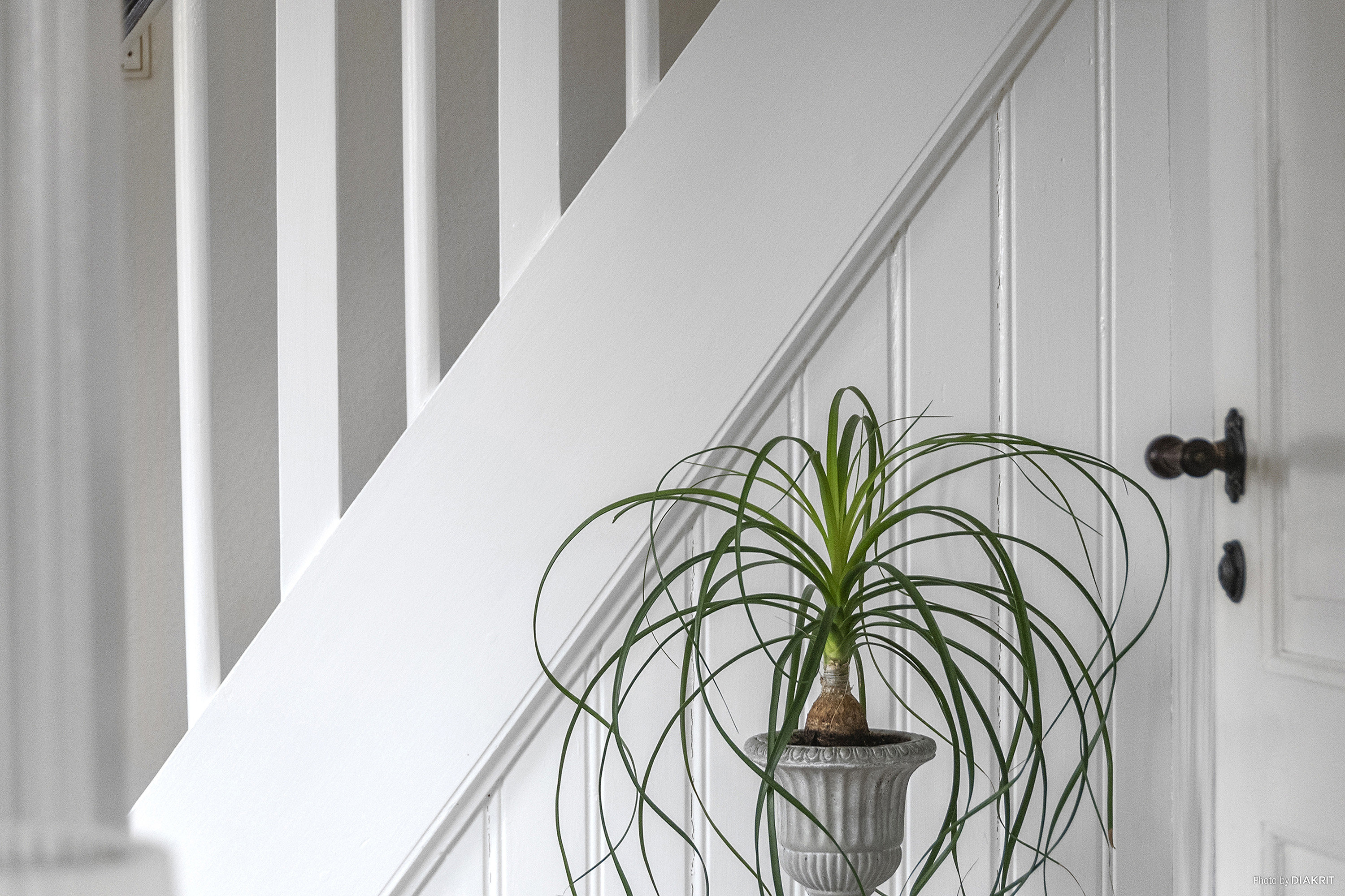 Fremhævet område billede i fuldskærmstilstand. Billede af Landevejen 22, 8350 Hundslund