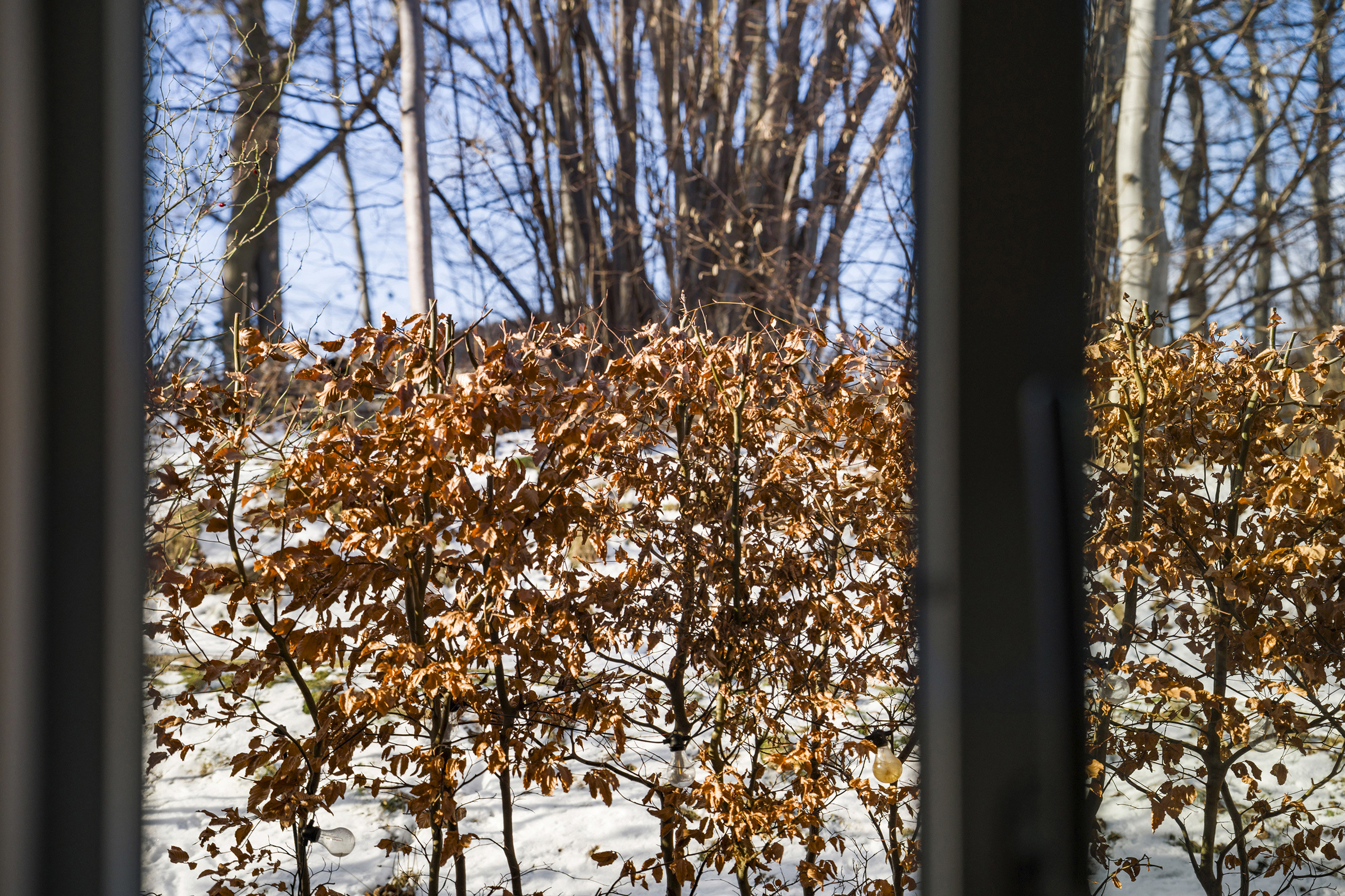 Fremhævet ejendommen billede i fuldskærmstilstand. Billede af Ralphs Vænge 19, 2950 Vedbæk