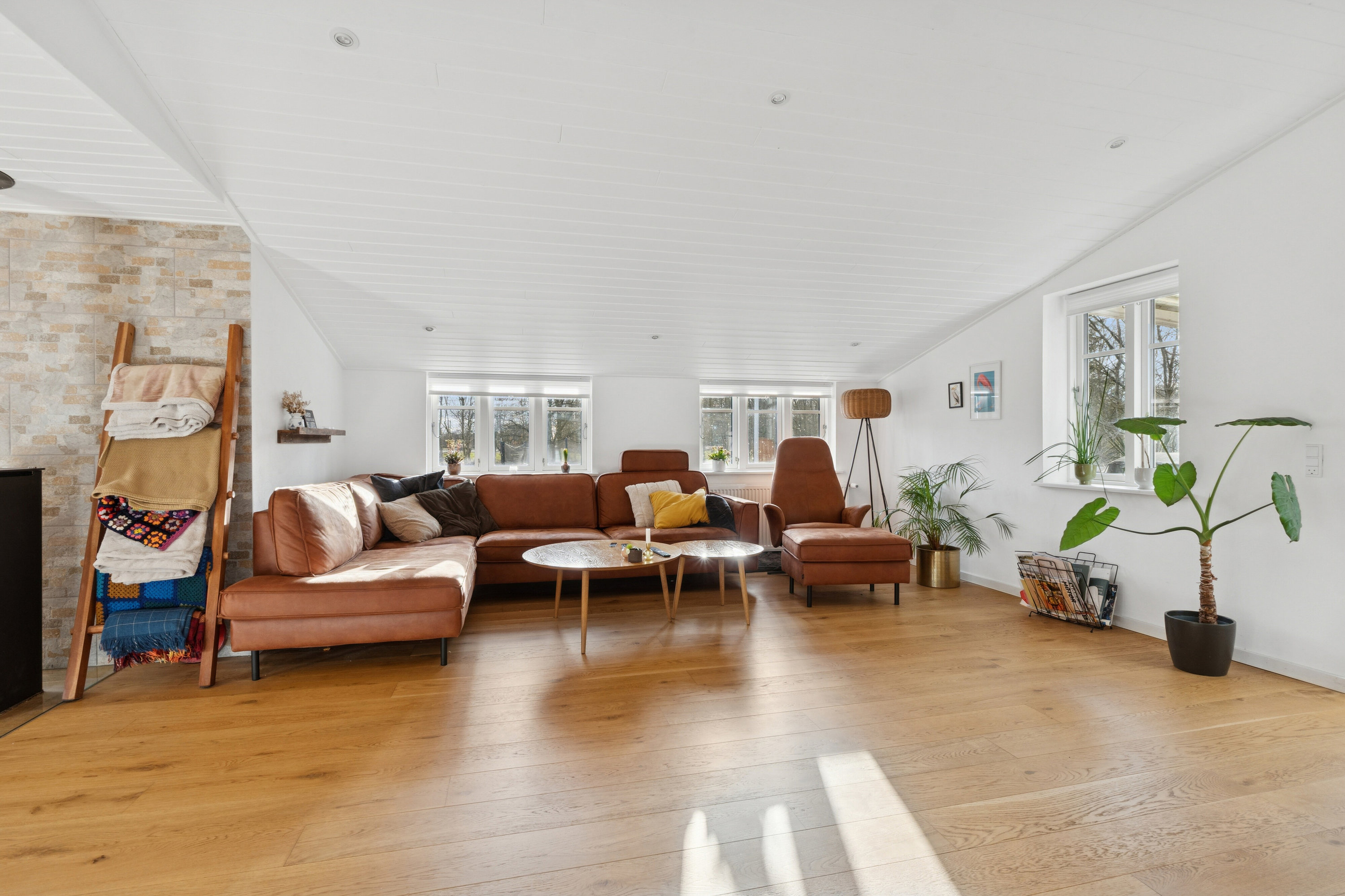 Fremhævet stue billede i fuldskærmstilstand. Billede af Ålborgvej 202, 9800 Hjørring