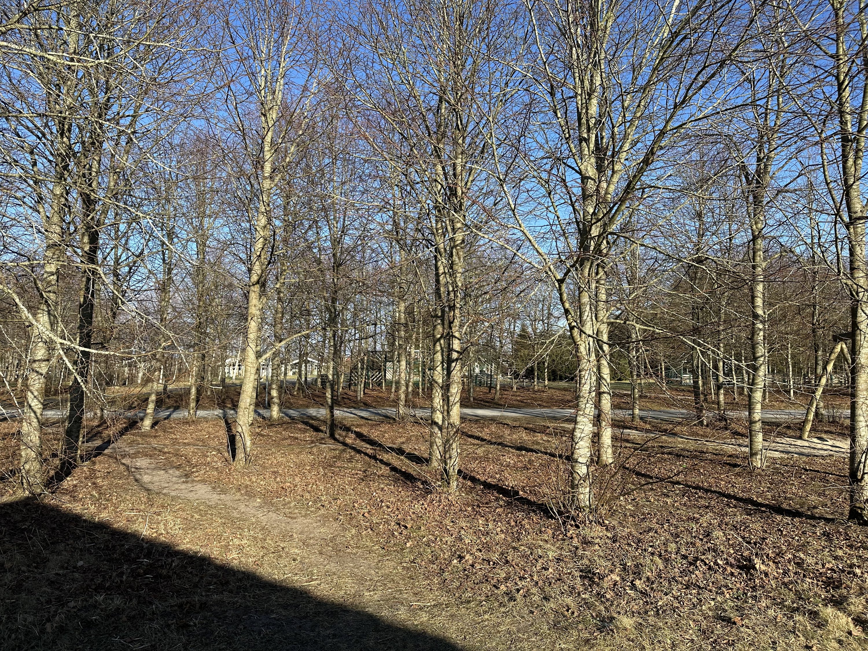 Fremhævet  billede i fuldskærmstilstand. Billede af Pilestien 400, 7190 Billund