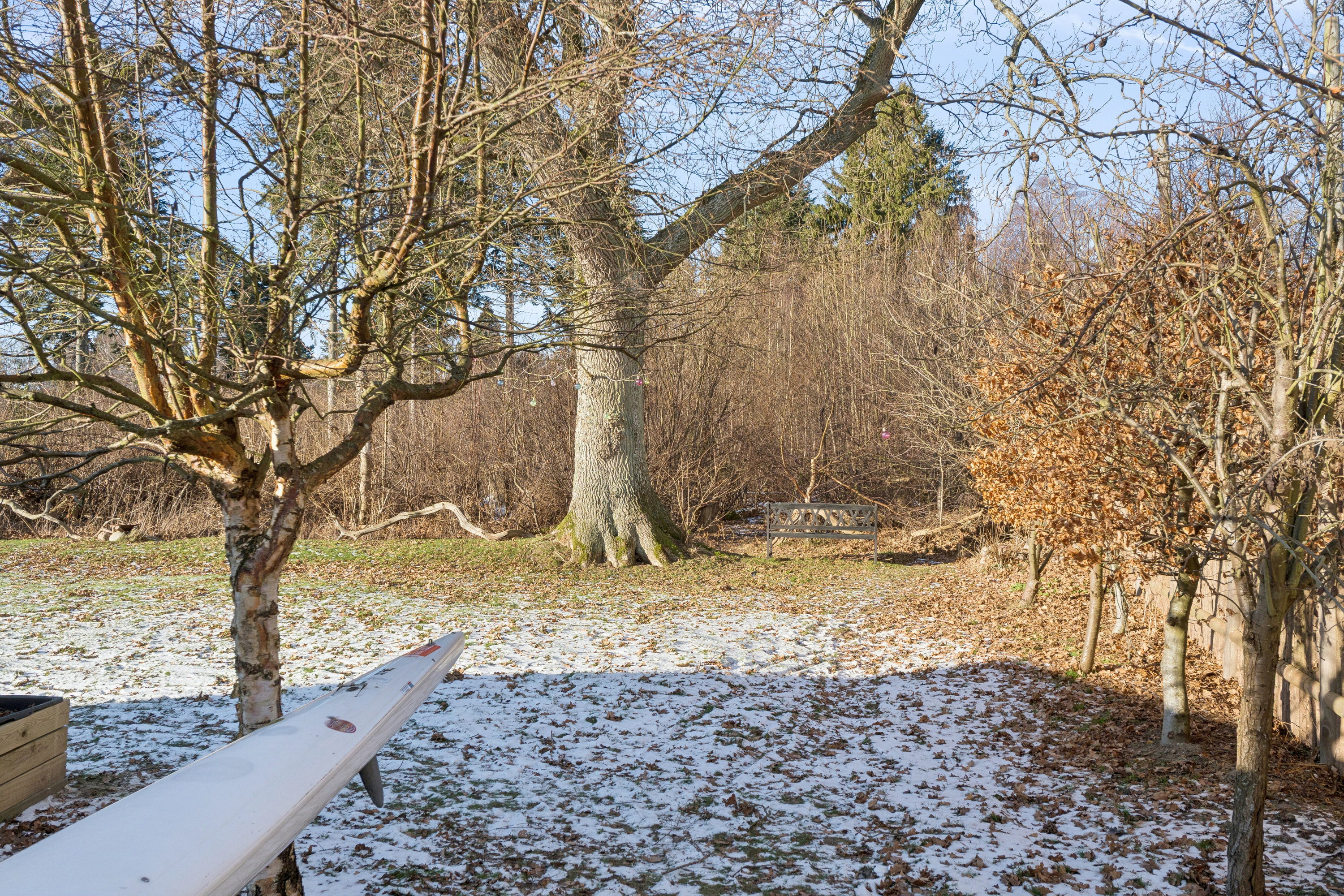 Fremhævet udendørs billede i fuldskærmstilstand. Billede af Toftemosevej 39, 3100 Hornbæk