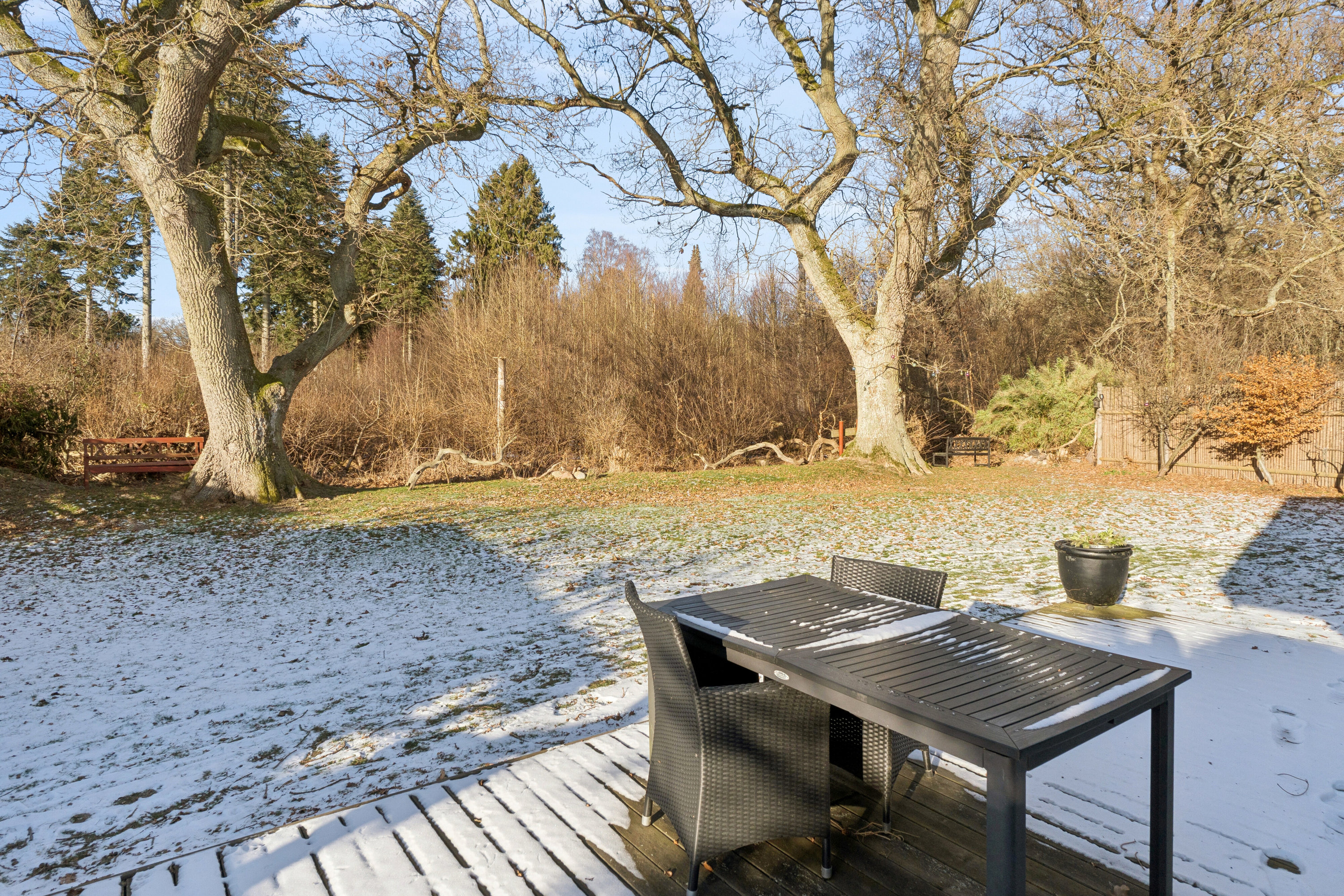 Fremhævet terrasse billede i fuldskærmstilstand. Billede af Toftemosevej 39, 3100 Hornbæk