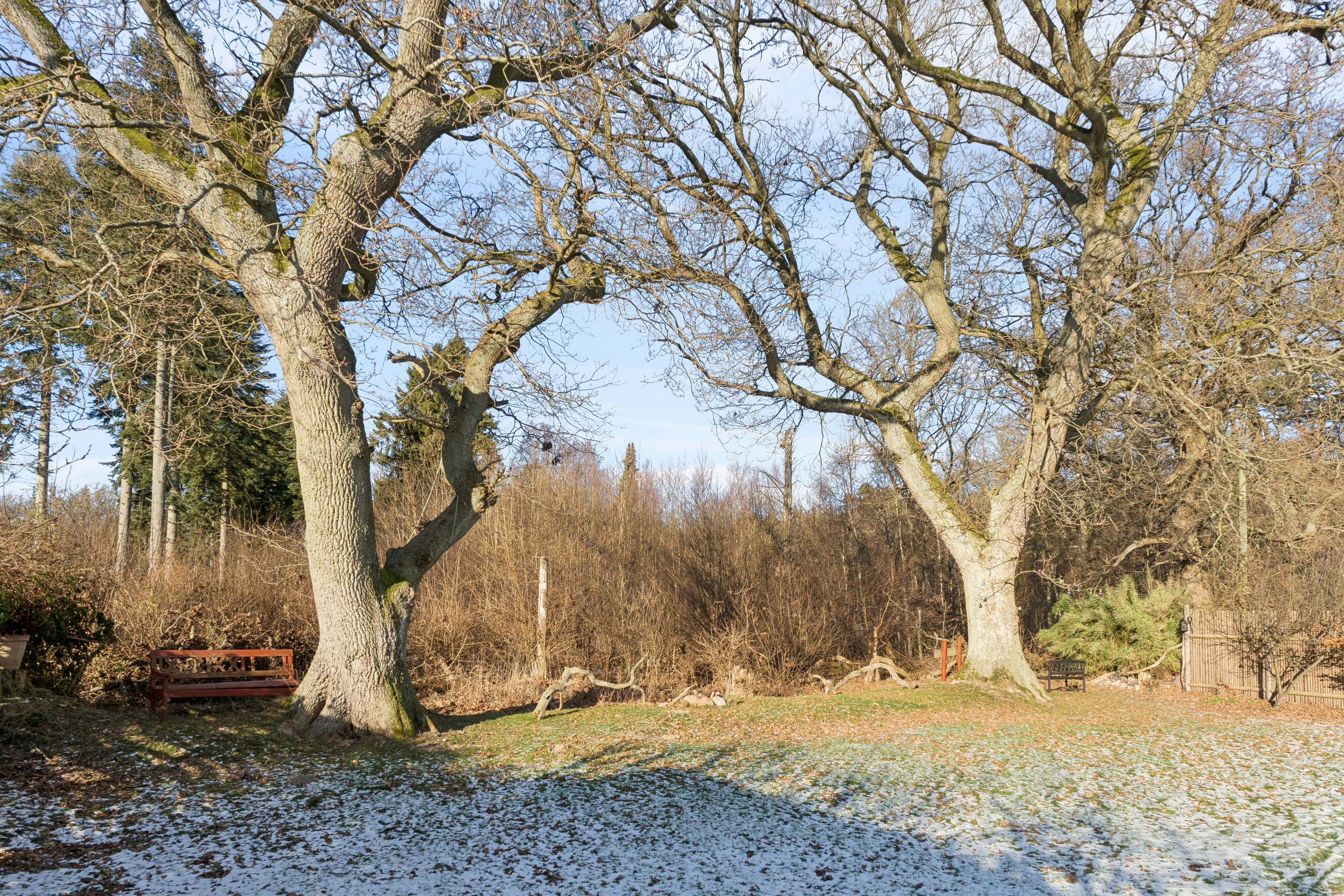 Fremhævet udendørs billede i fuldskærmstilstand. Billede af Toftemosevej 39, 3100 Hornbæk