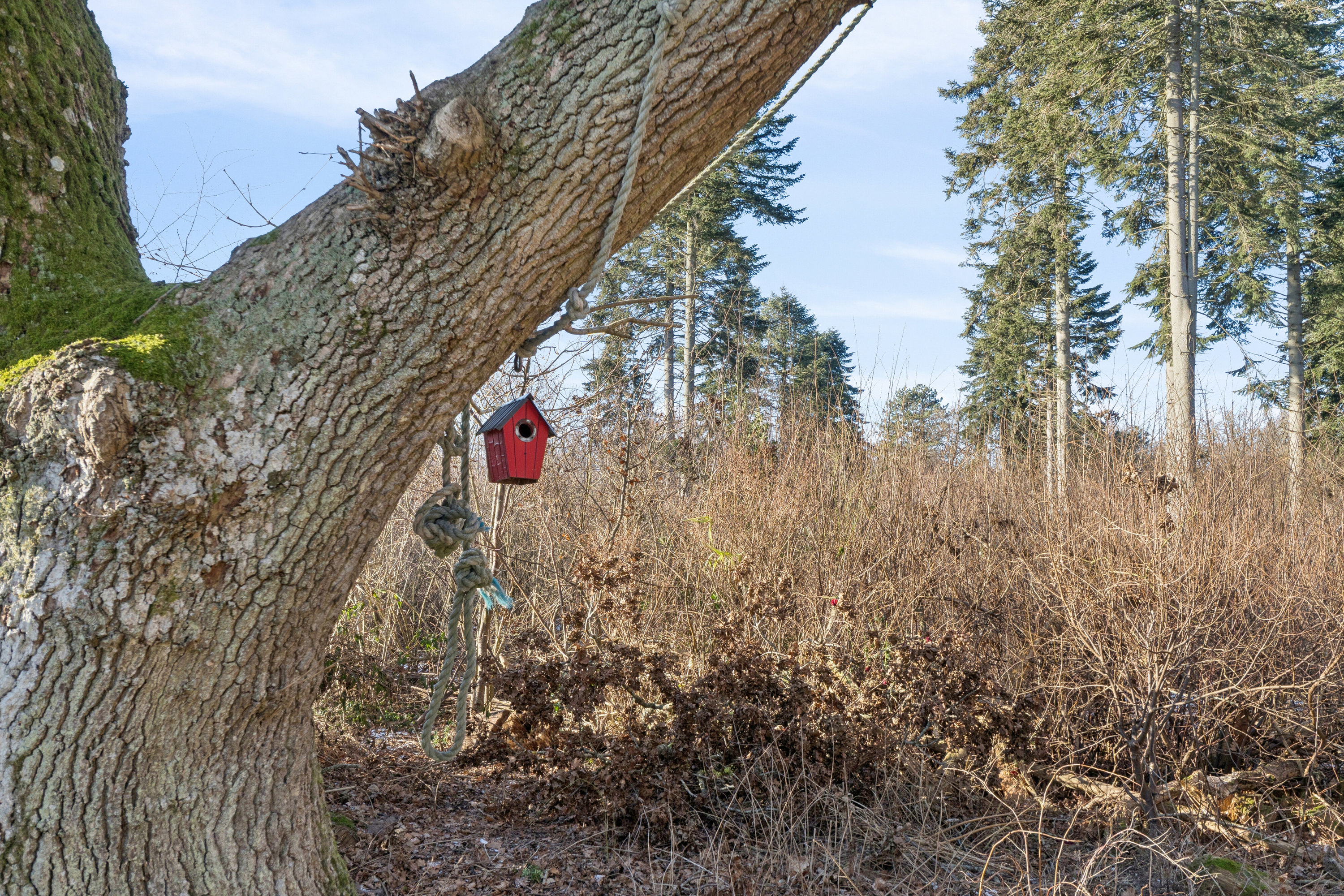 Fremhævet udendørs billede i fuldskærmstilstand. Billede af Toftemosevej 39, 3100 Hornbæk