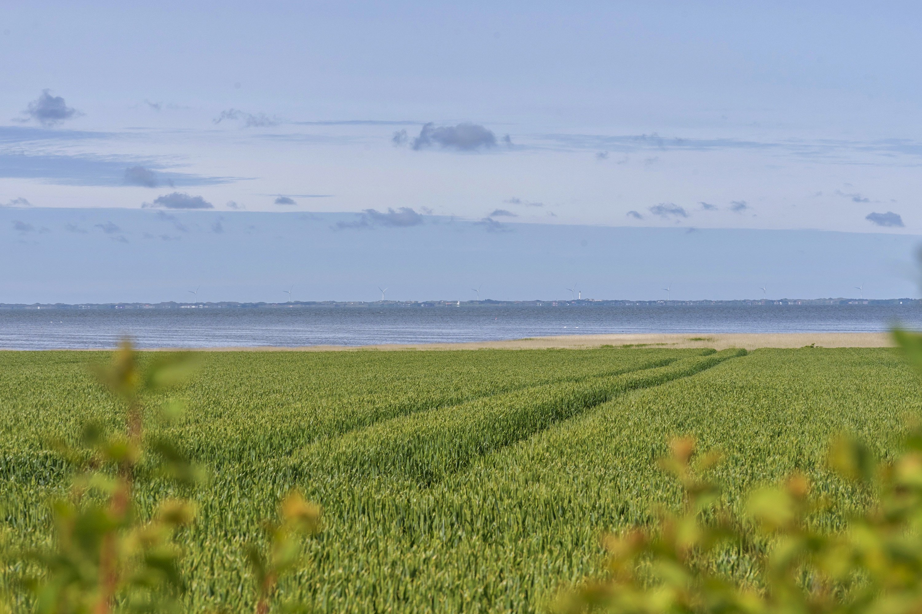 Fremhævet  billede i fuldskærmstilstand. Billede af Velling Kirkeby 2B, Velling, 6950 Ringkøbing