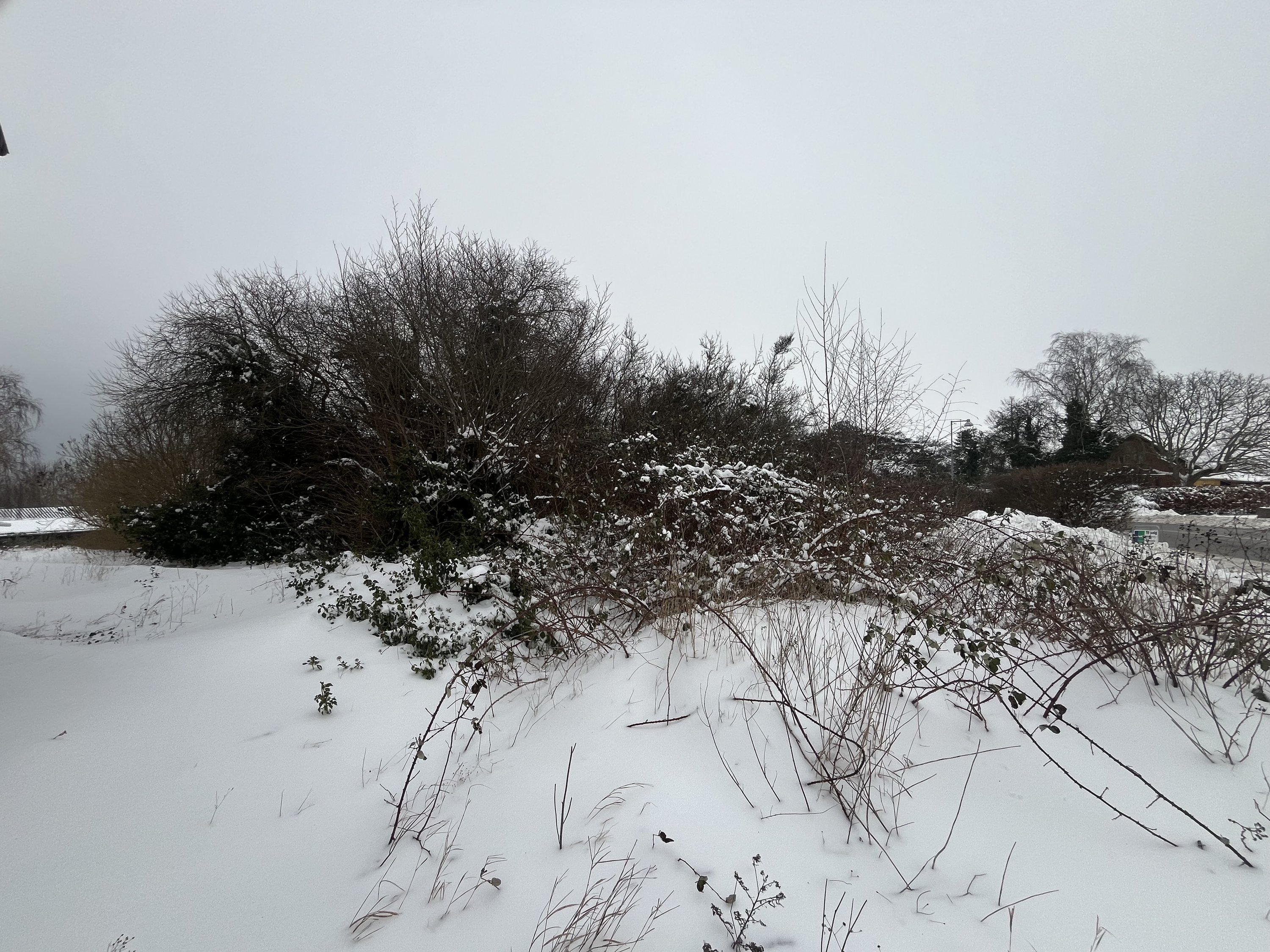 Fremhævet  billede i fuldskærmstilstand. Billede af Oddenvej 146, Lumsås, 4500 Nykøbing Sj