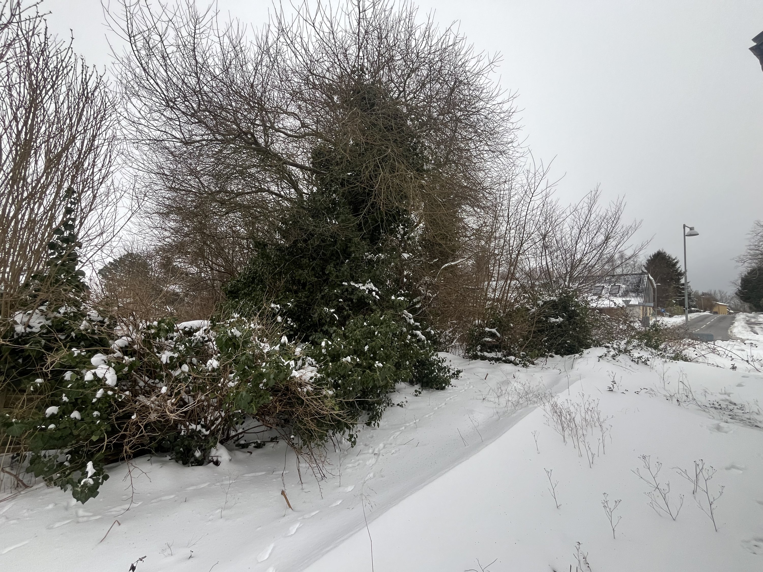 Fremhævet  billede i fuldskærmstilstand. Billede af Oddenvej 146, Lumsås, 4500 Nykøbing Sj