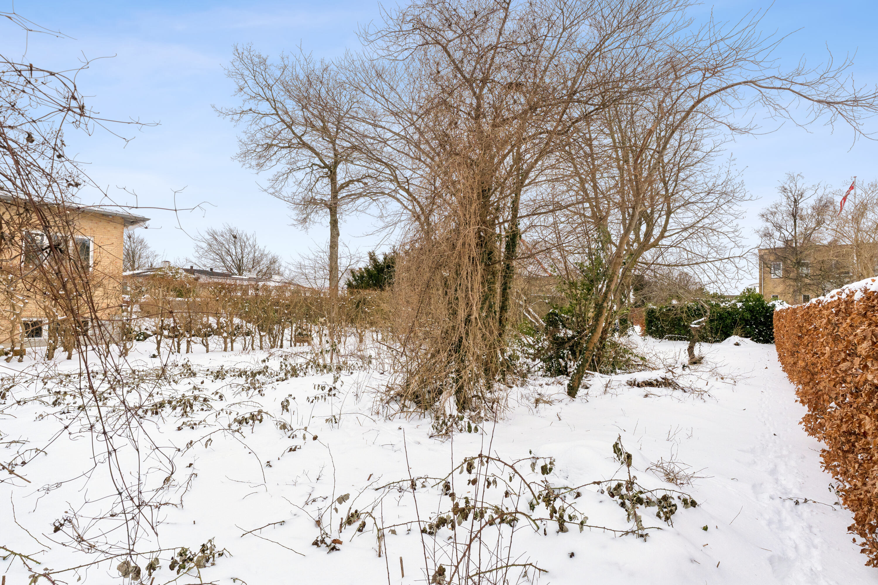 Fremhævet have billede i fuldskærmstilstand. Billede af Dianavej 5, Hasseris, 9000 Aalborg