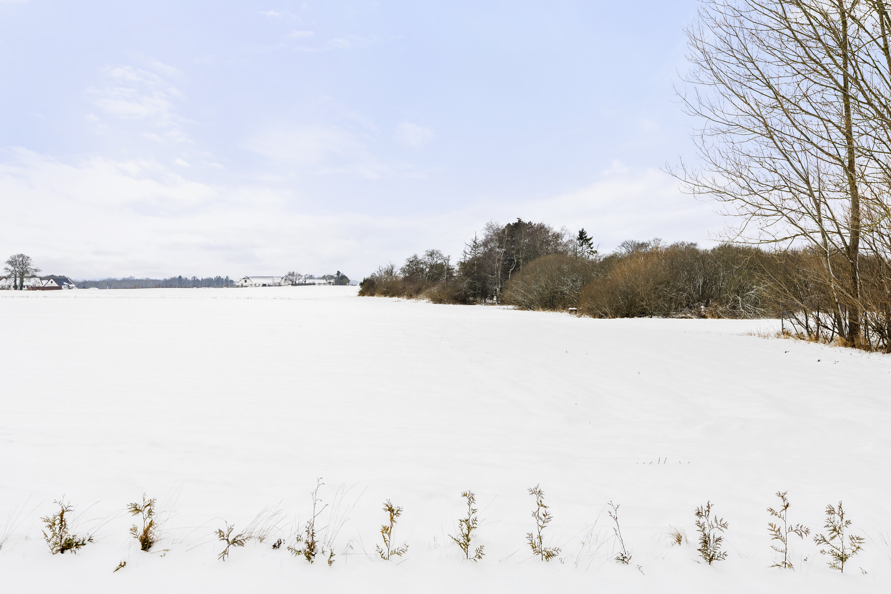 Fremhævet udsigt billede i fuldskærmstilstand. Billede af Brandsmarkvej 23A, 4180 Sorø