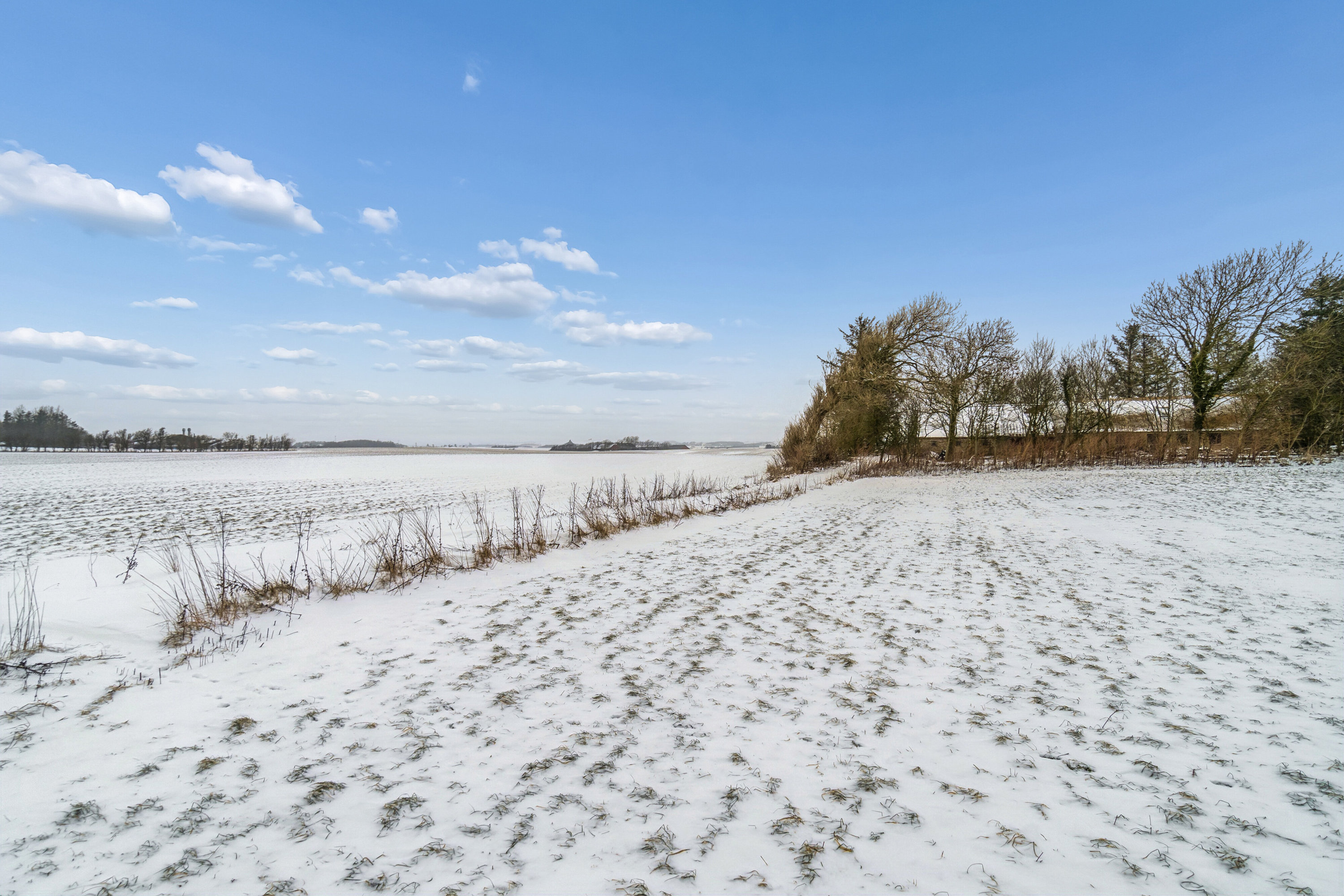 Fremhævet set fra haven billede i fuldskærmstilstand. Billede af Hørdumvej 18, 7752 Snedsted