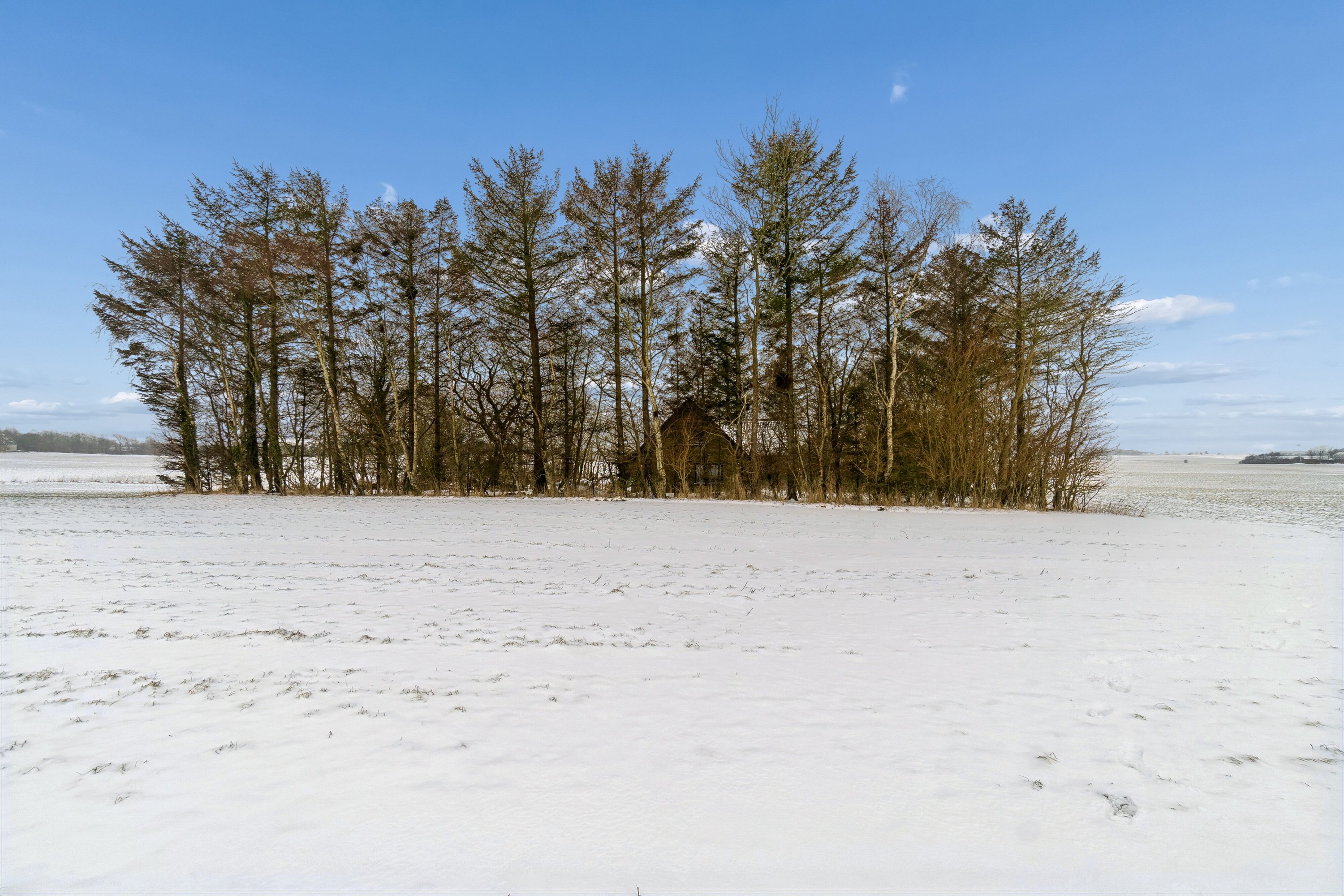 Fremhævet set fra haven billede i fuldskærmstilstand. Billede af Hørdumvej 18, 7752 Snedsted