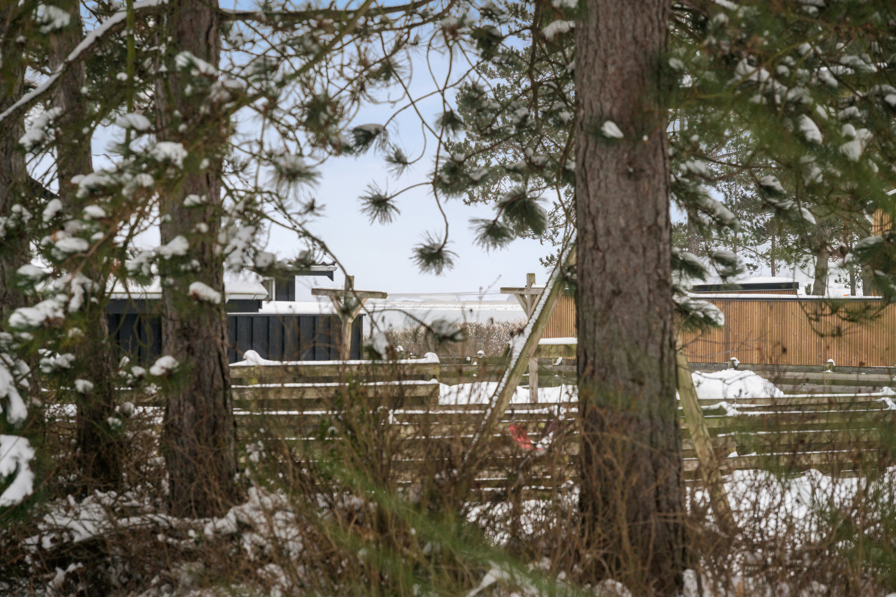 Fremhævet have billede i fuldskærmstilstand. Billede af Rønne Alle 11, Dragsmur, 8420 Knebel