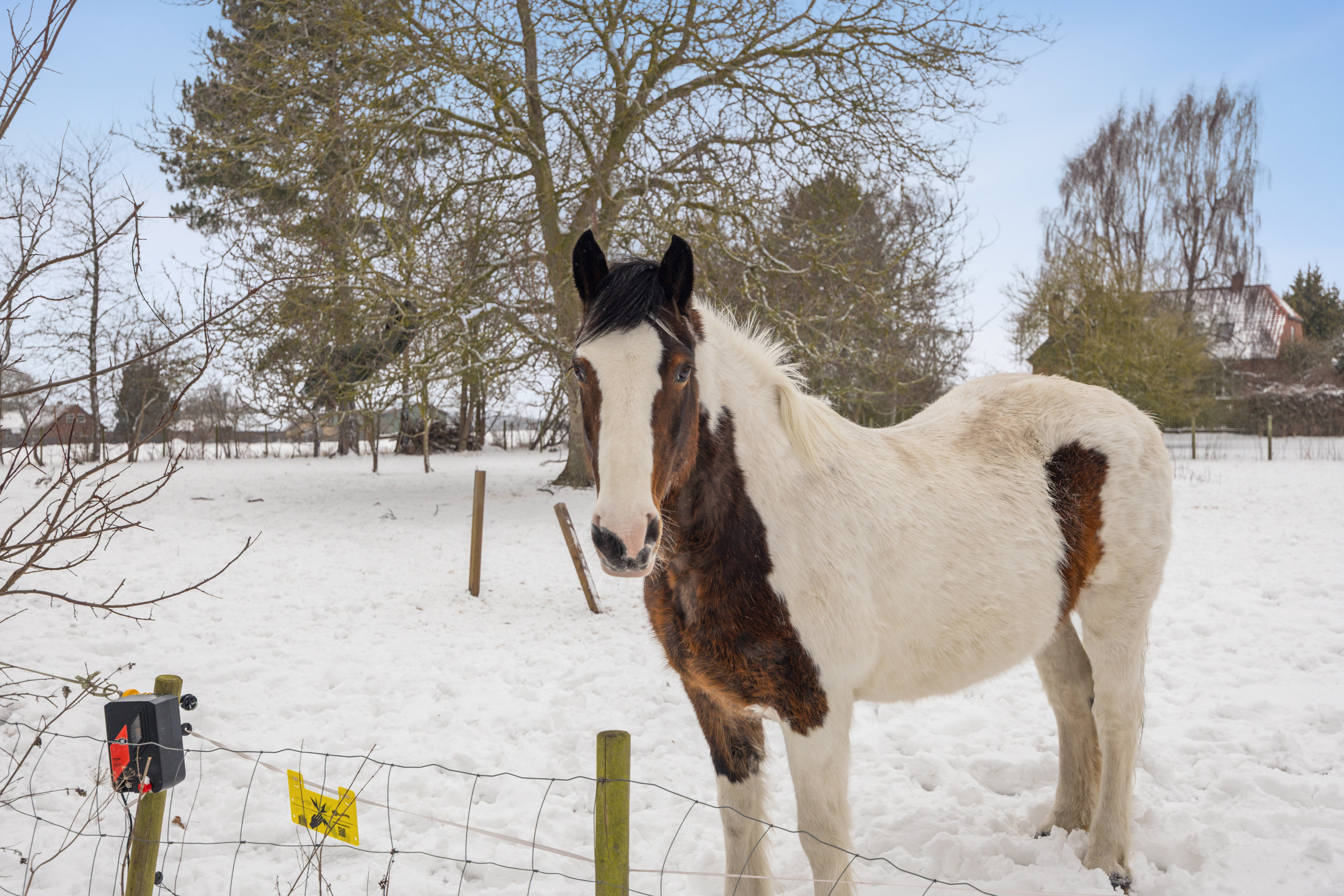 Fremhævet luftfoto billede i fuldskærmstilstand. Billede af Salbyvej 6, 4600 Køge