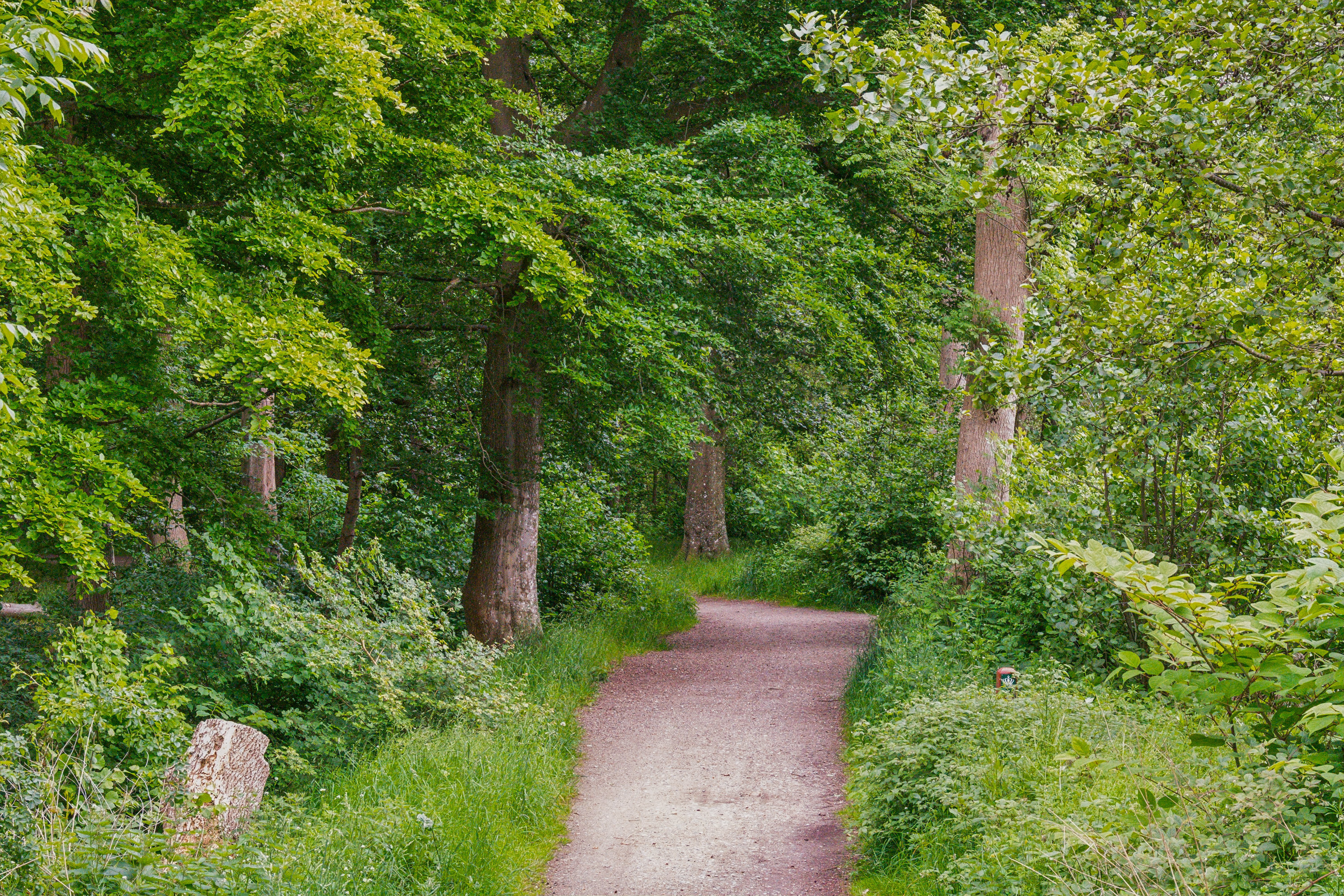 Fremhævet  billede i fuldskærmstilstand. Billede af Teglværksbakken 18, 1., 3140 Ålsgårde