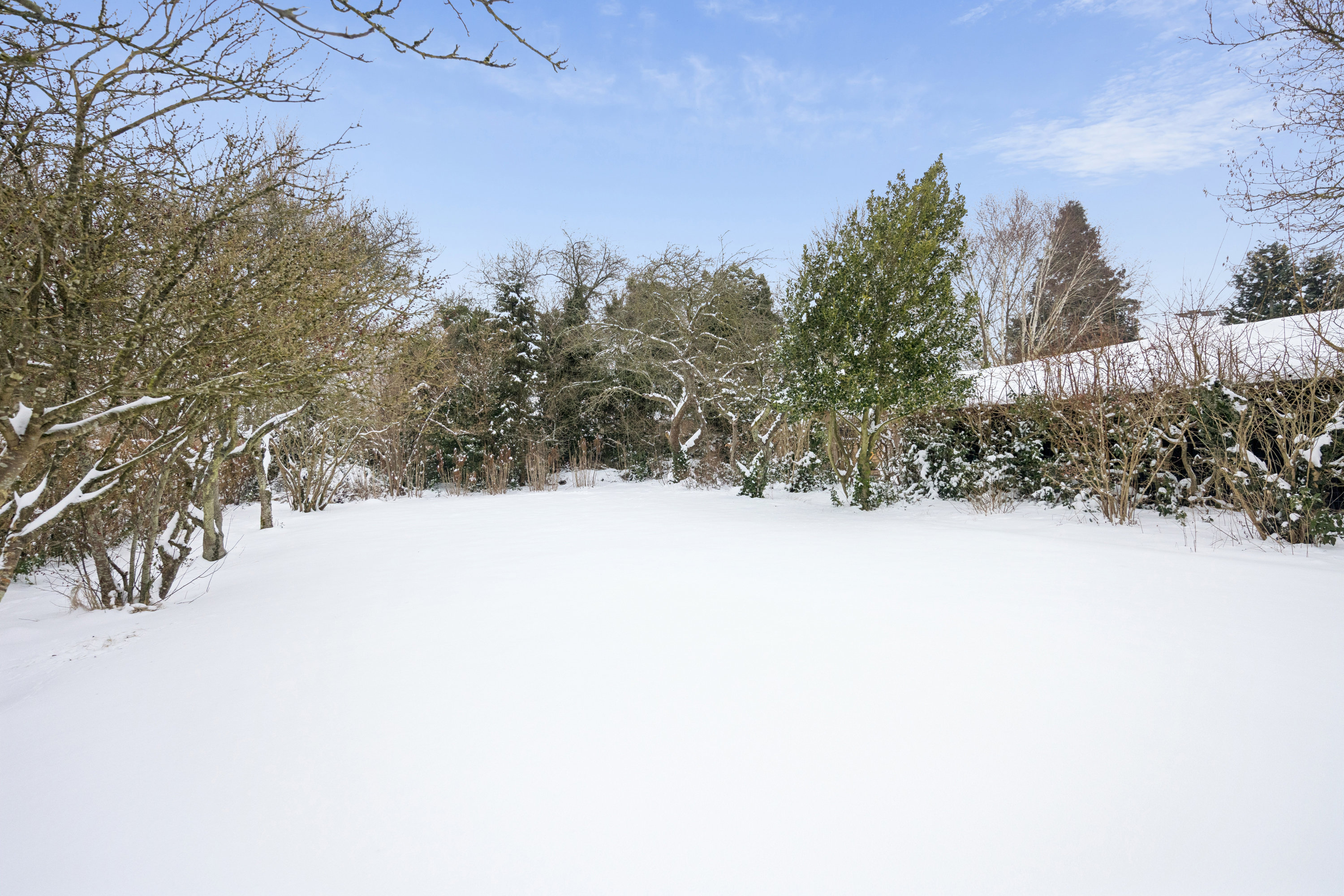 Fremhævet haven billede i fuldskærmstilstand. Billede af Langbrokrovej 4, 9310 Vodskov