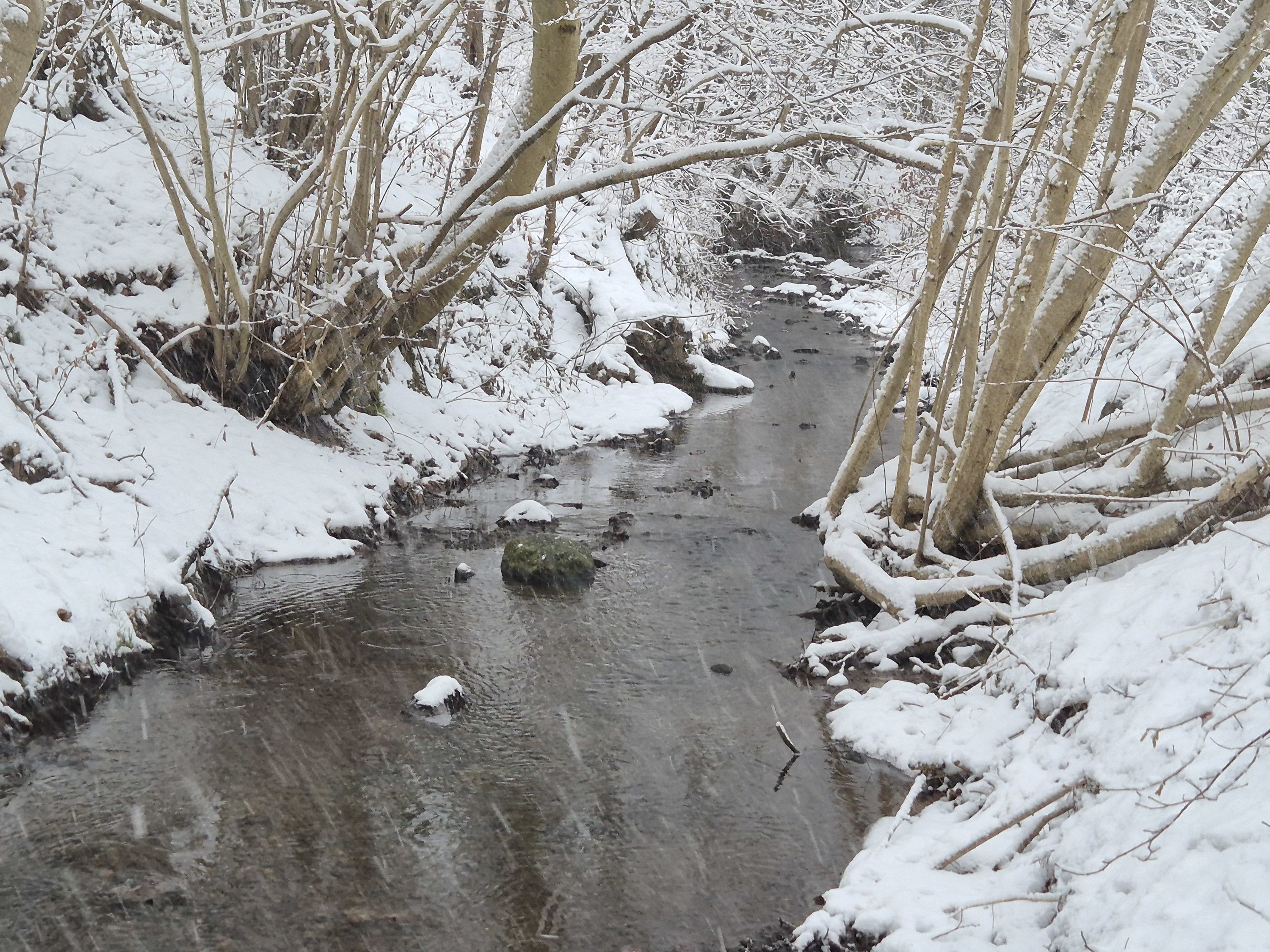 Møllebakken 4, Rårup, 7130 Juelsminde