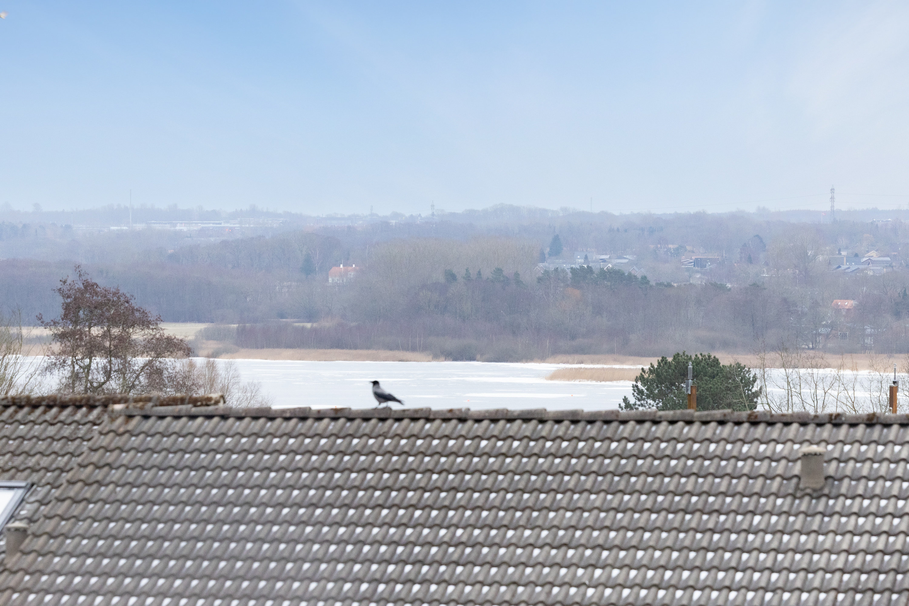 Fremhævet  billede i fuldskærmstilstand. Billede af Nøjsomhedsvej 13, 8220 Brabrand