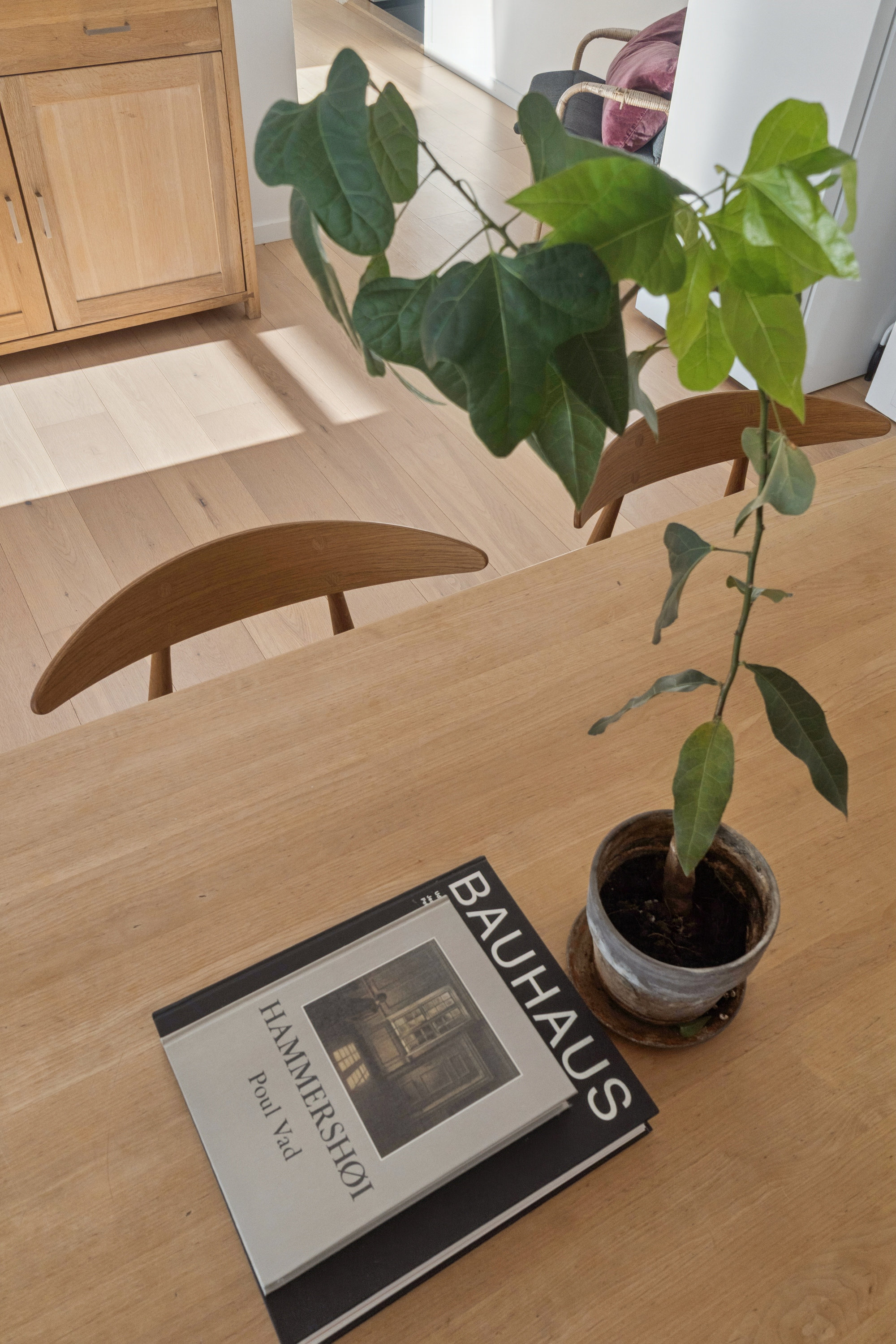 Fremhævet køkken/alrum billede i fuldskærmstilstand. Billede af Vejgården 86, 4160 Herlufmagle