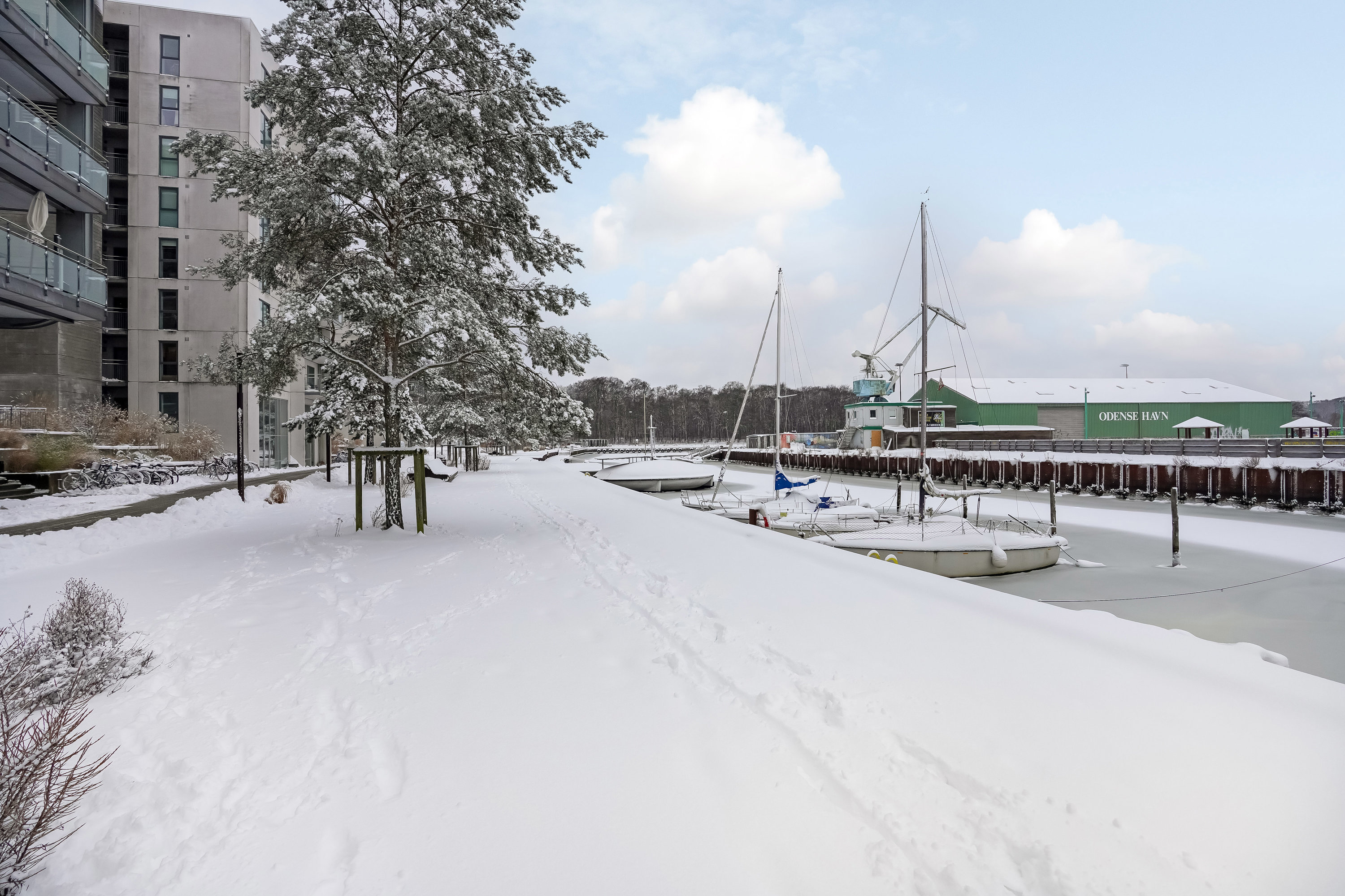 Fremhævet område billede i fuldskærmstilstand. Billede af Promenadebyen 6, 3. th., 5000 Odense C