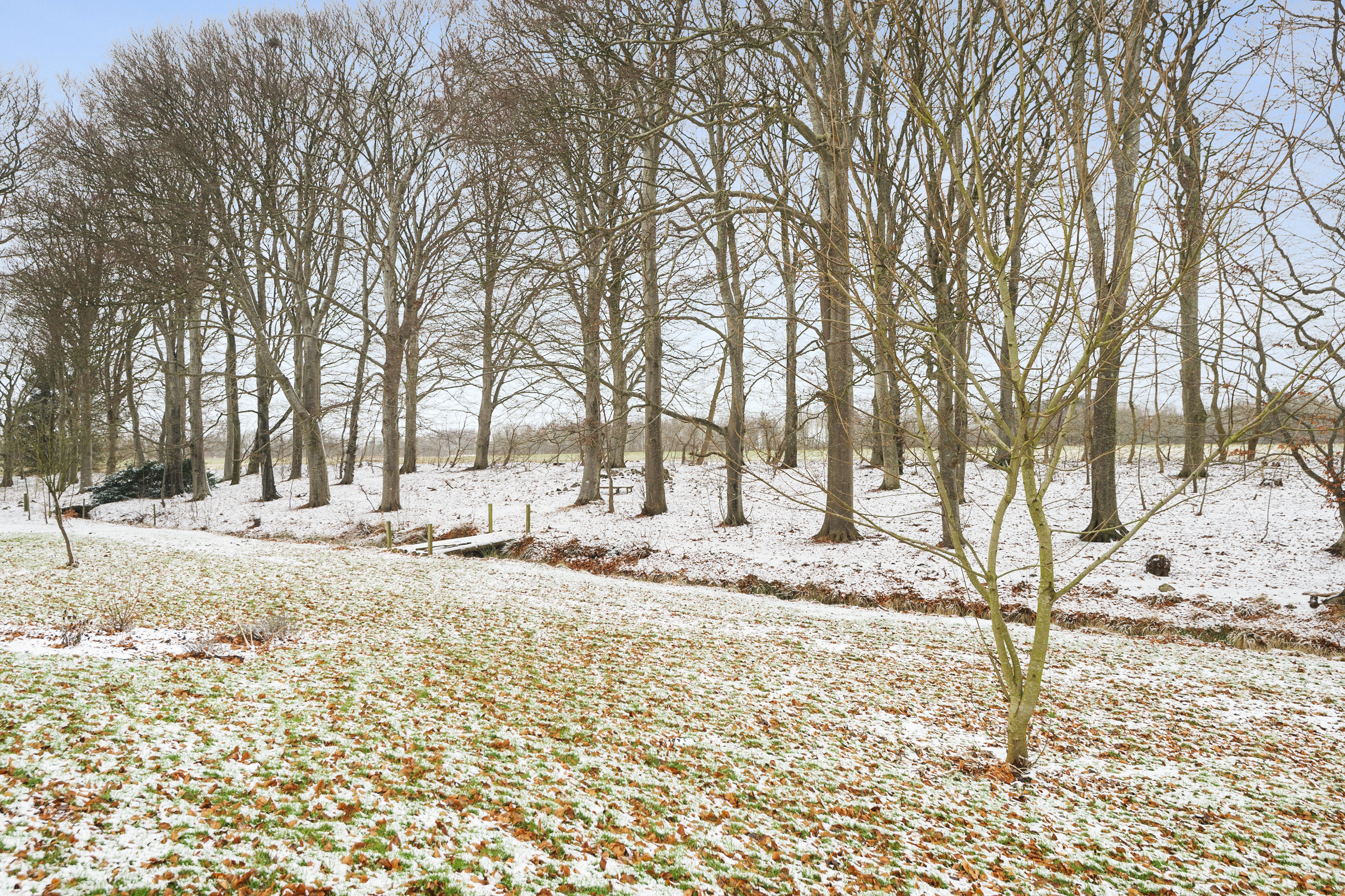 Fremhævet område billede i fuldskærmstilstand. Billede af Uhrevej 3, 6862 Tistrup
