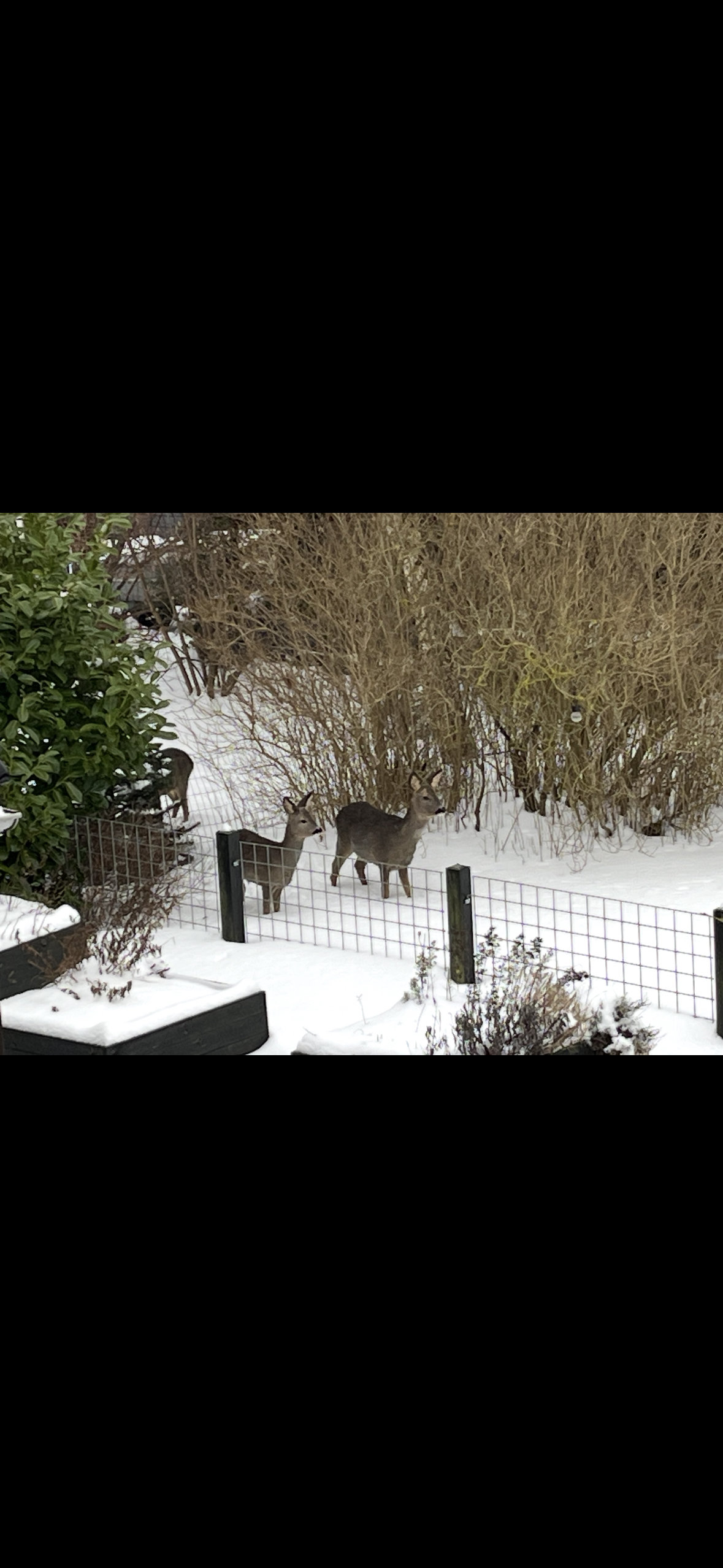 Fremhævet  billede i fuldskærmstilstand. Billede af Stensbjerg 15, 2600 Glostrup