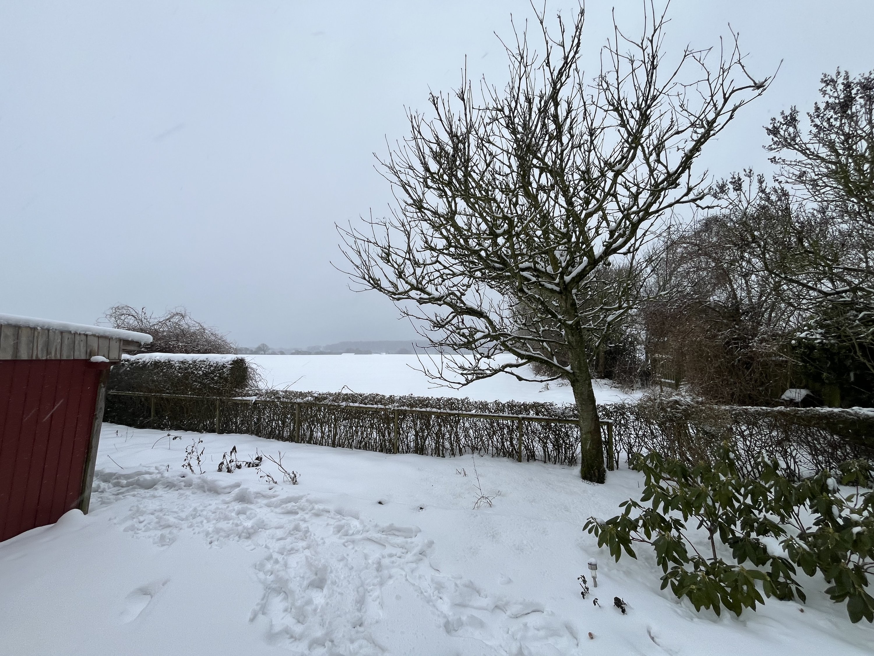 Fremhævet  billede i fuldskærmstilstand. Billede af Søndervej 34, Thurø, 5700 Svendborg