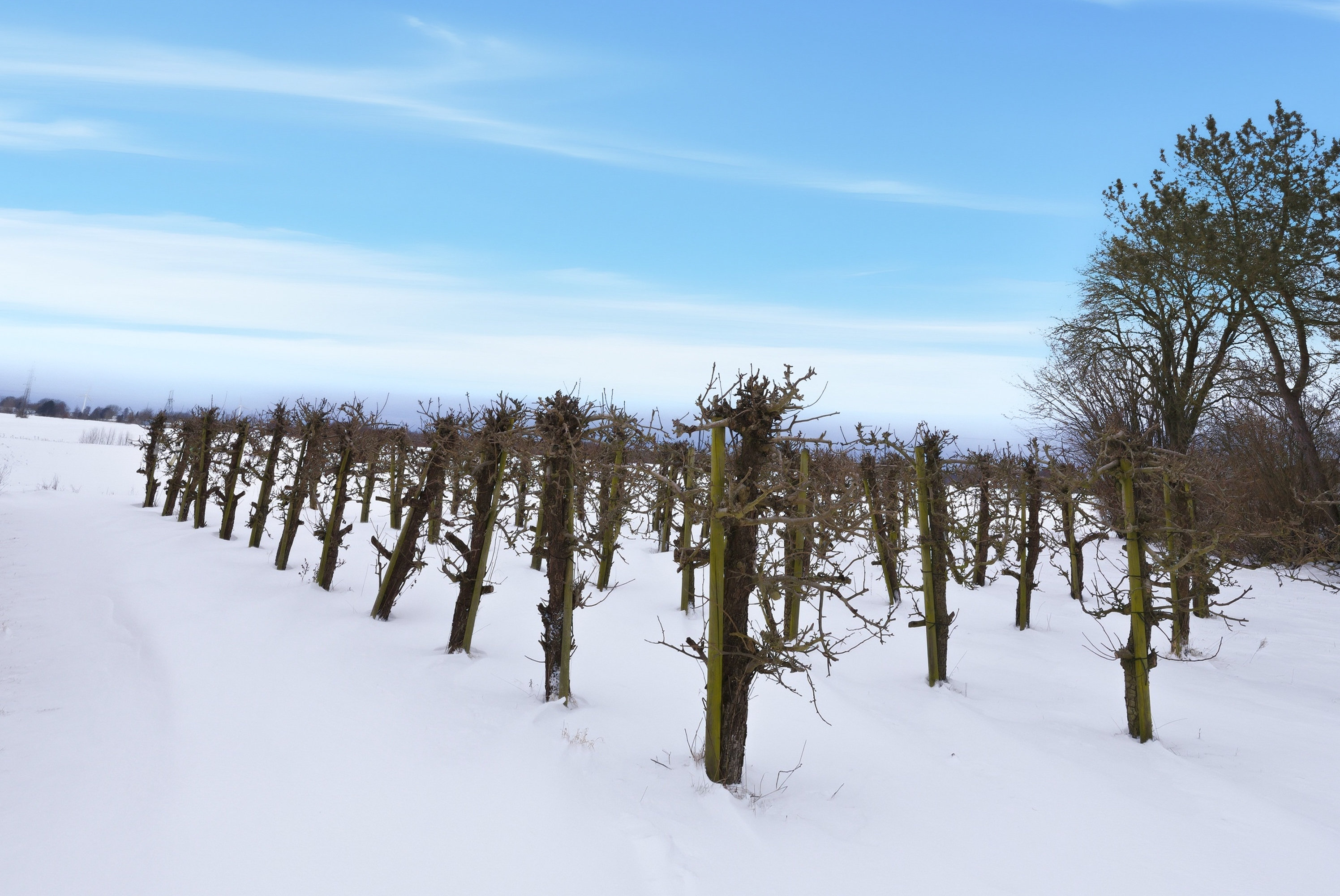 Fremhævet udsigt billede i fuldskærmstilstand. Billede af Horsebækvej 71, Horsebæk, 5450 Otterup