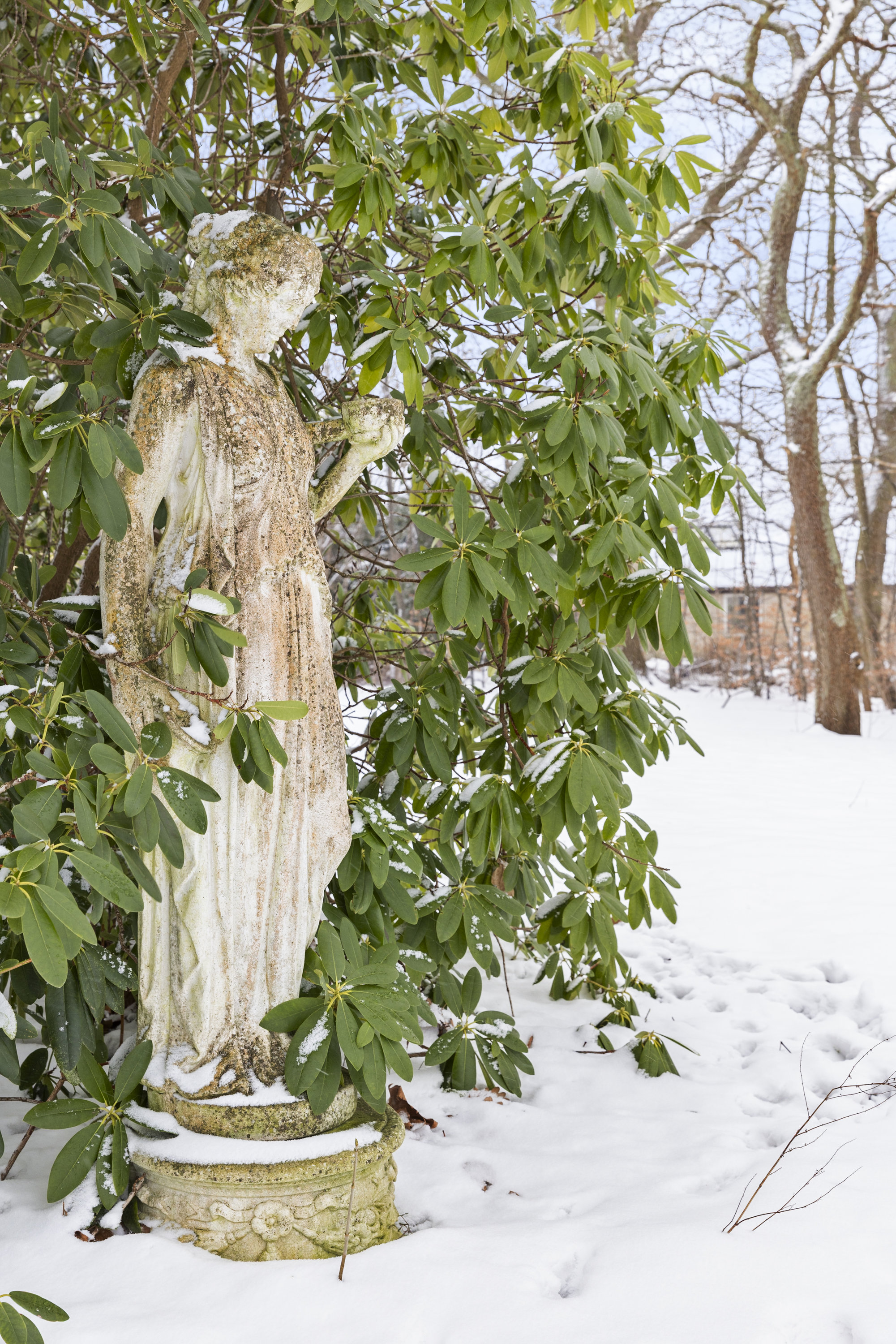 Fremhævet have billede i fuldskærmstilstand. Billede af Doktorhaven 4, 4293 Dianalund