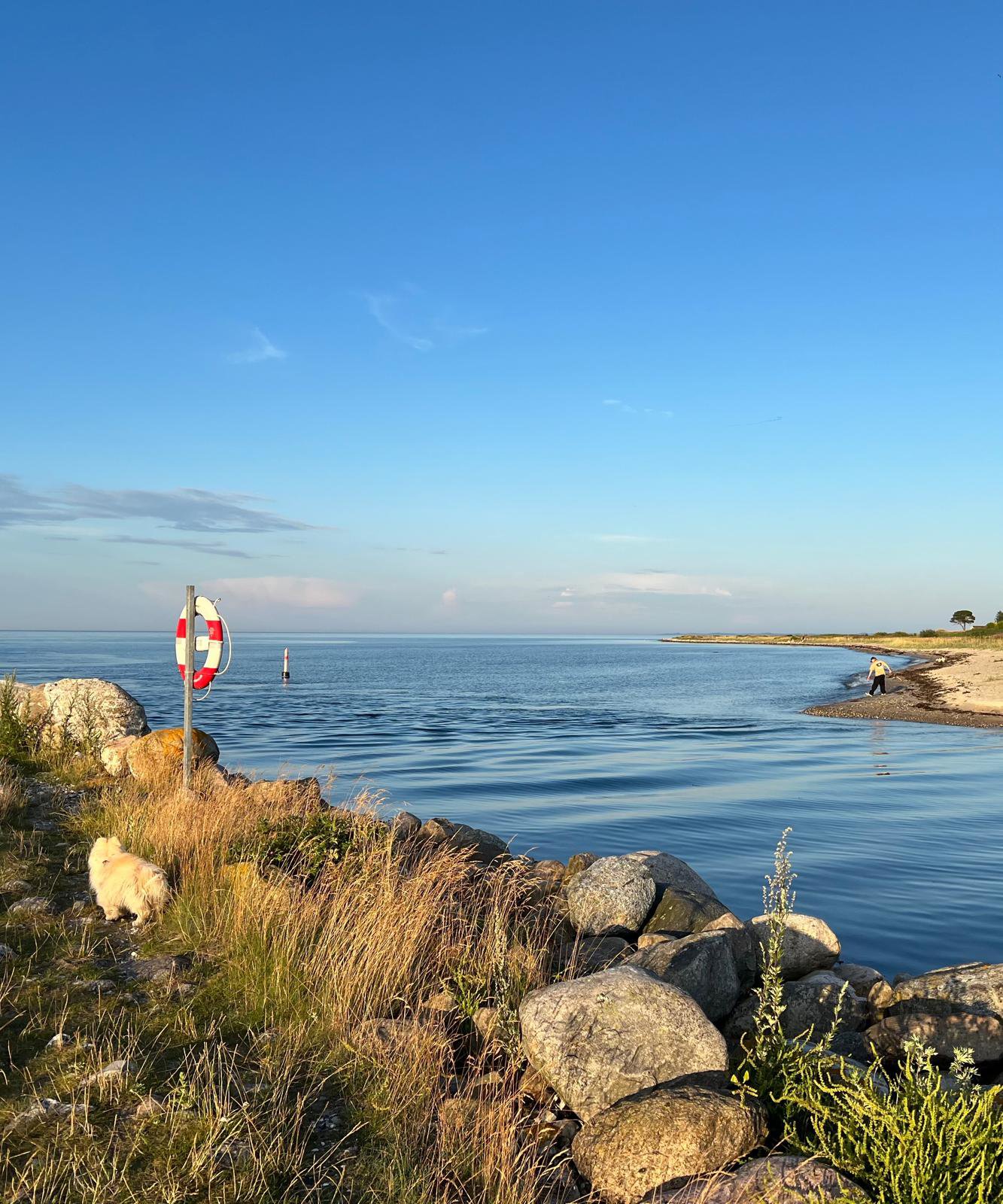 Fremhævet  billede i fuldskærmstilstand. Billede af Fjordvej 58, 8340 Malling