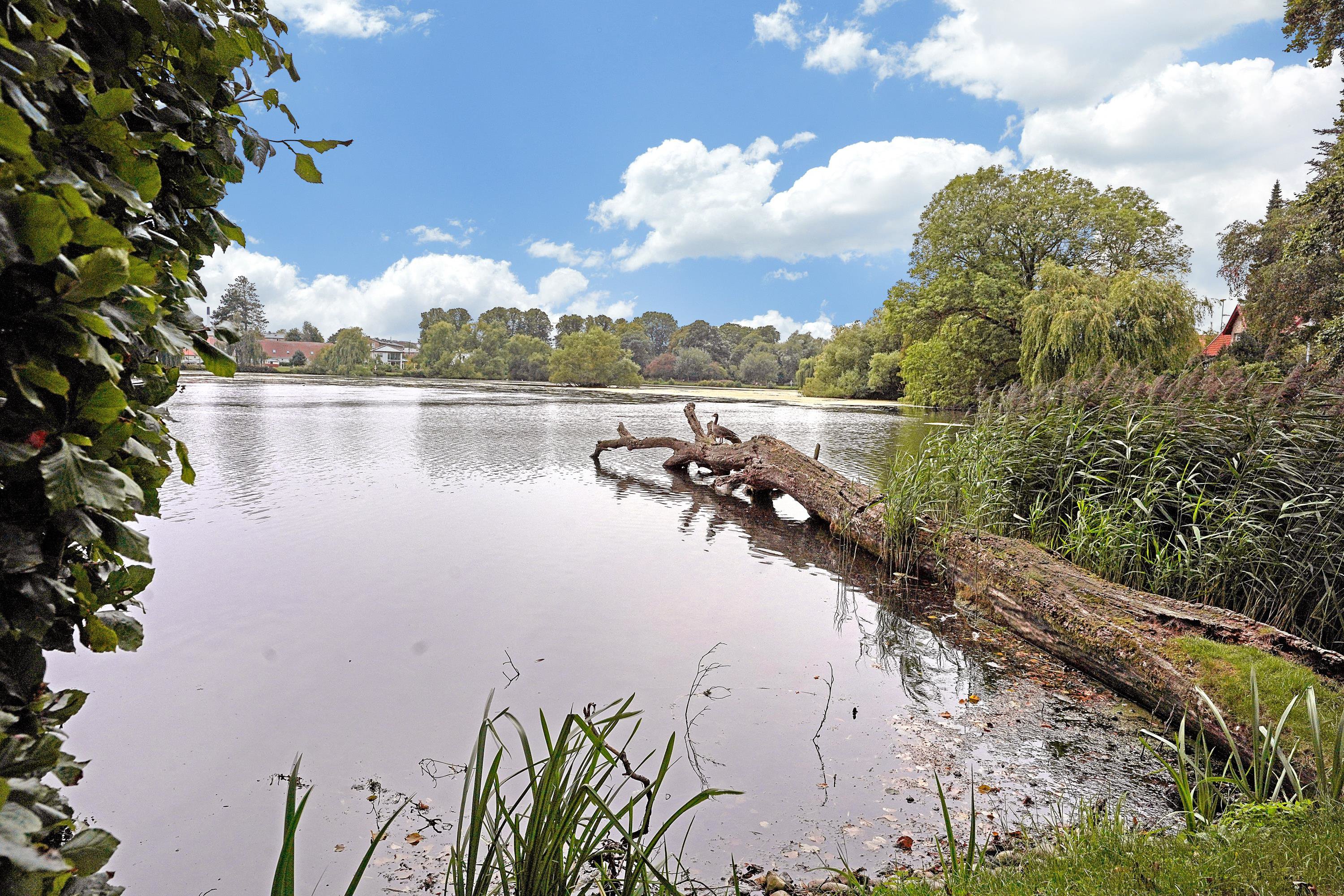 Fremhævet  billede i fuldskærmstilstand. Billede af Søholm Park 9, 2900 Hellerup