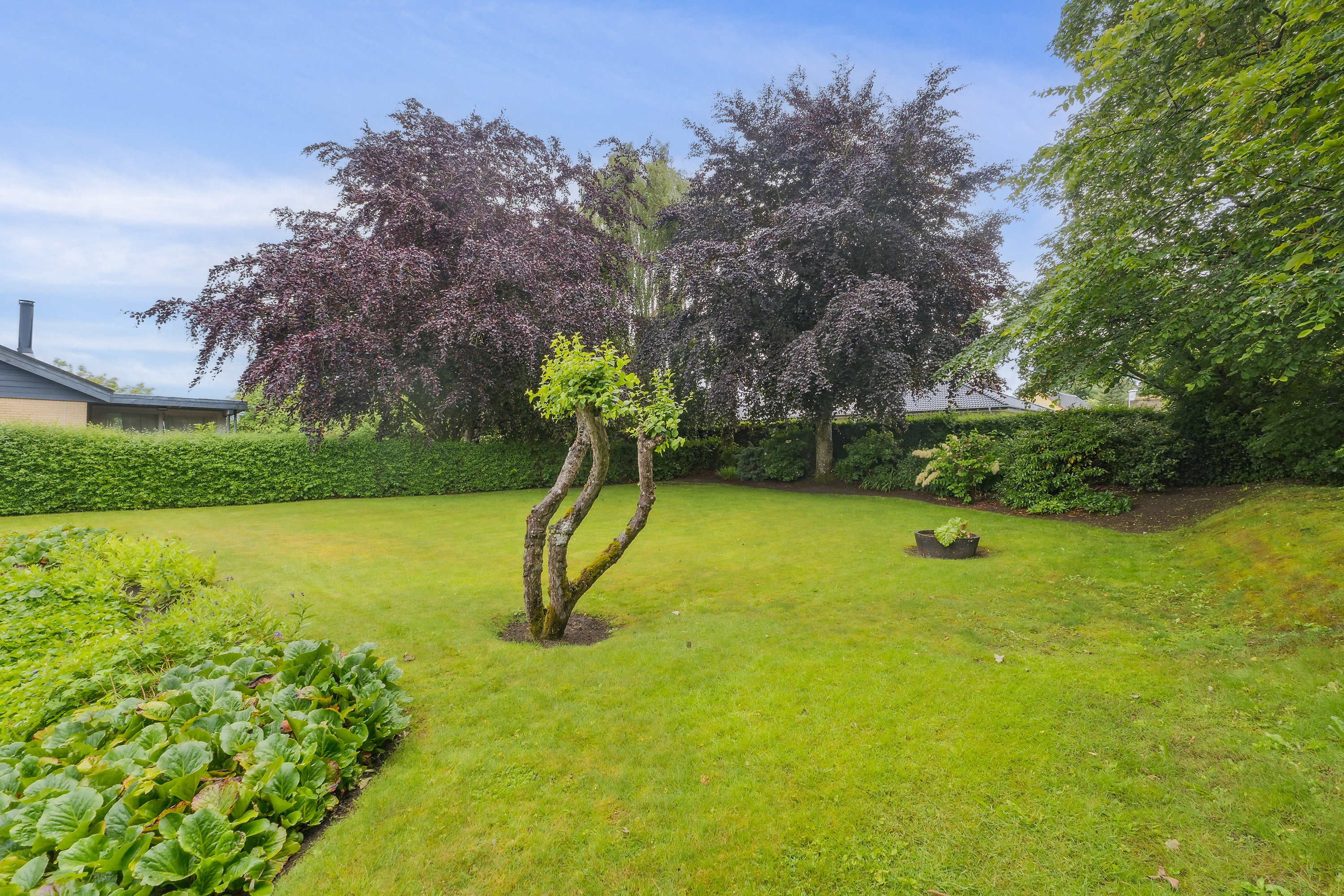 Fremhævet  billede i fuldskærmstilstand. Billede af Vissebo 3, Visse, 9210 Aalborg SØ