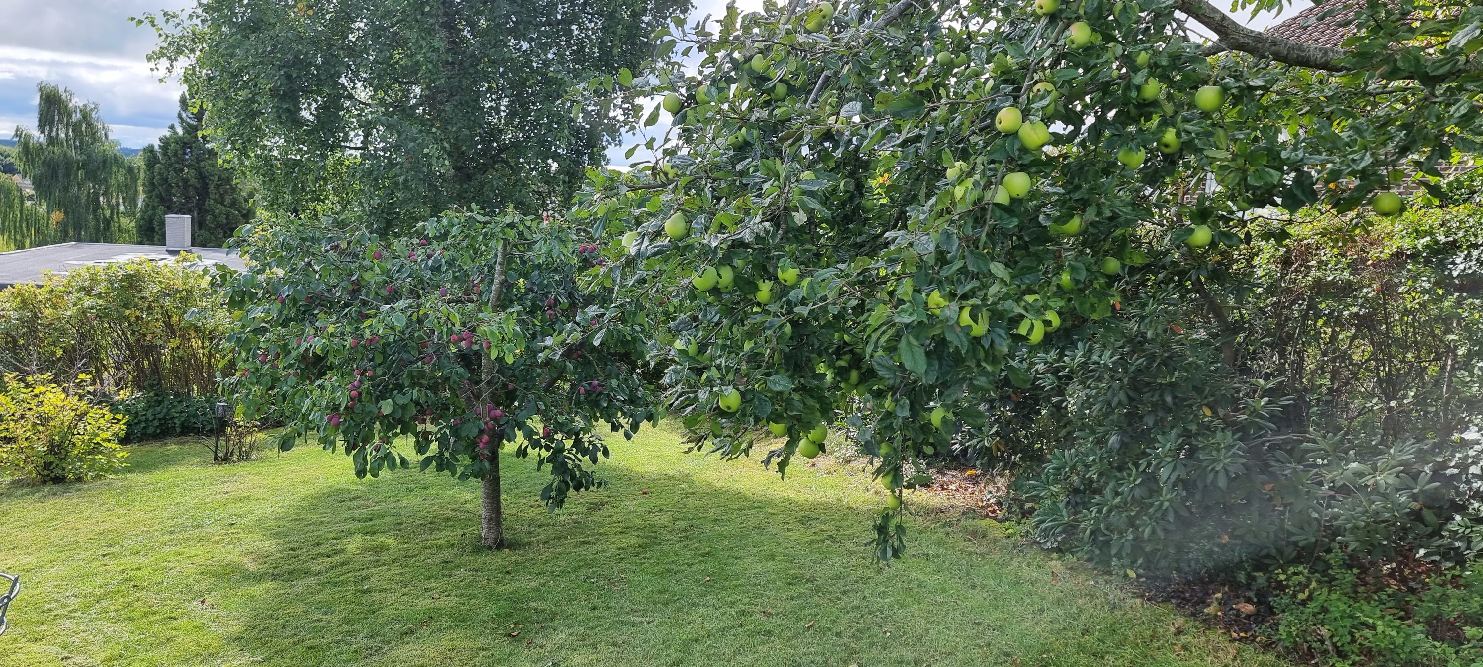 Fremhævet  billede i fuldskærmstilstand. Billede af Ladelundsvej 8, 8600 Silkeborg