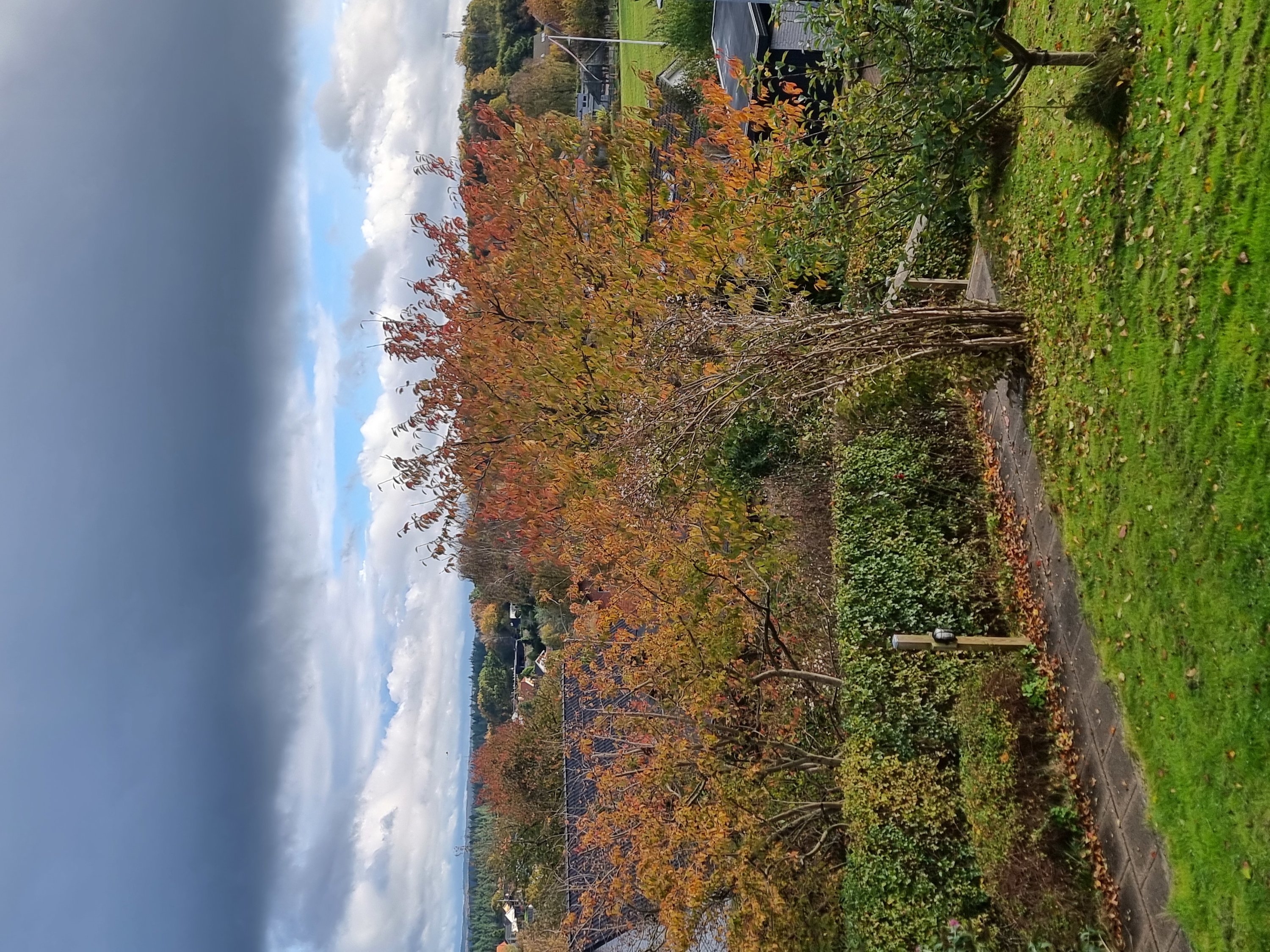 Fremhævet  billede i fuldskærmstilstand. Billede af Ladelundsvej 8, 8600 Silkeborg