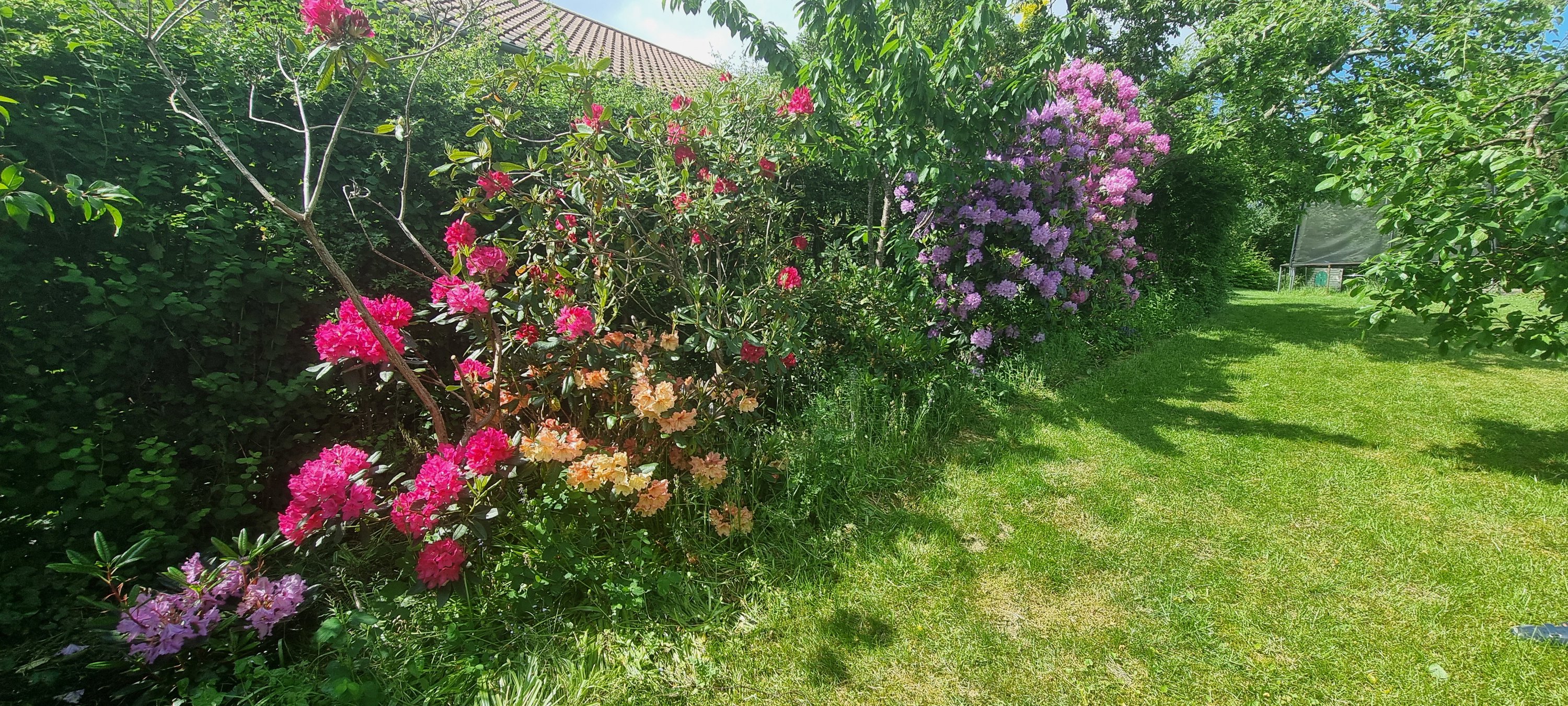 Fremhævet  billede i fuldskærmstilstand. Billede af Ladelundsvej 8, 8600 Silkeborg