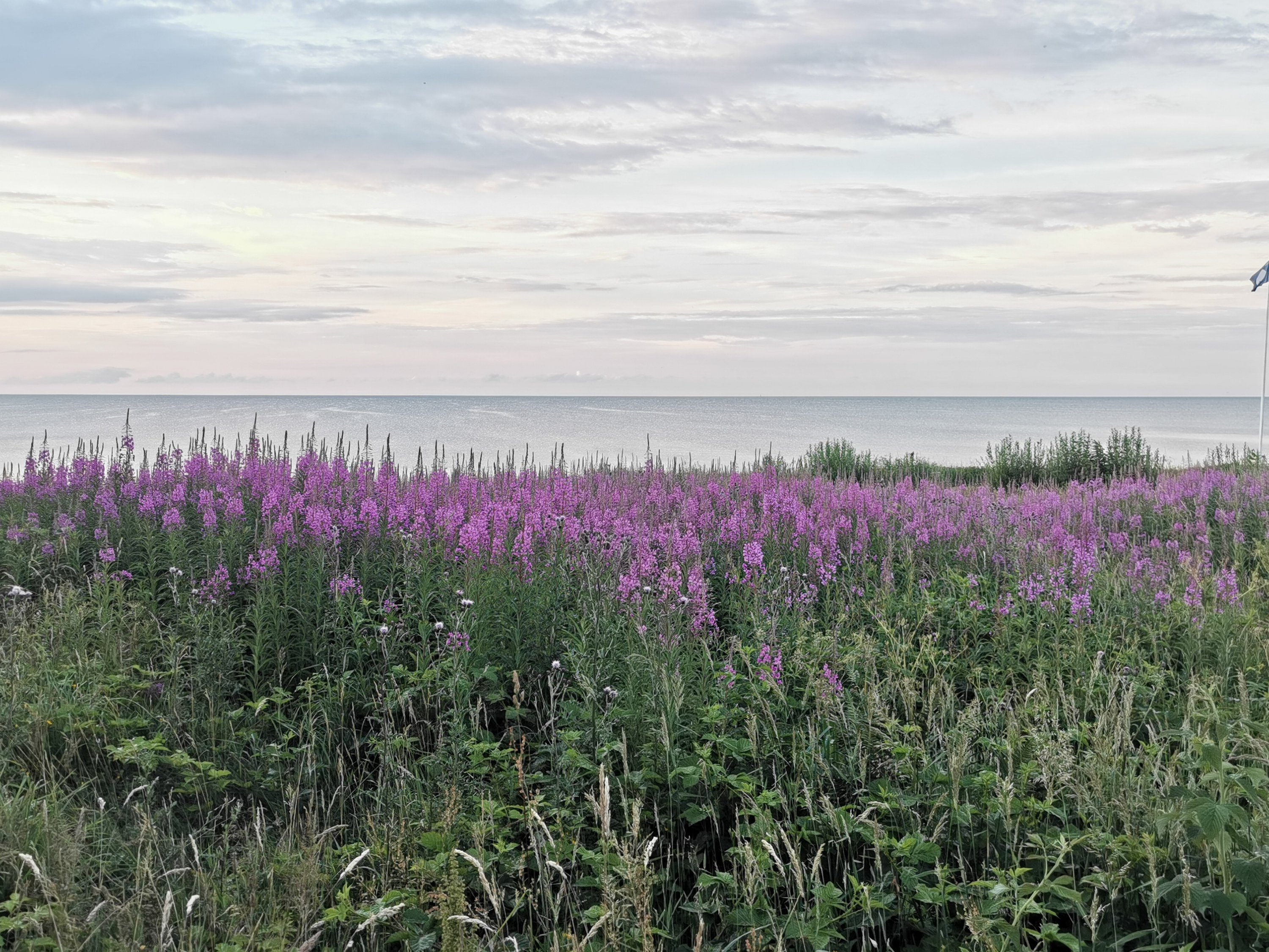 Fremhævet  billede i fuldskærmstilstand. Billede af Rødkløvervej 4, Skovgårde, 8961 Allingåbro